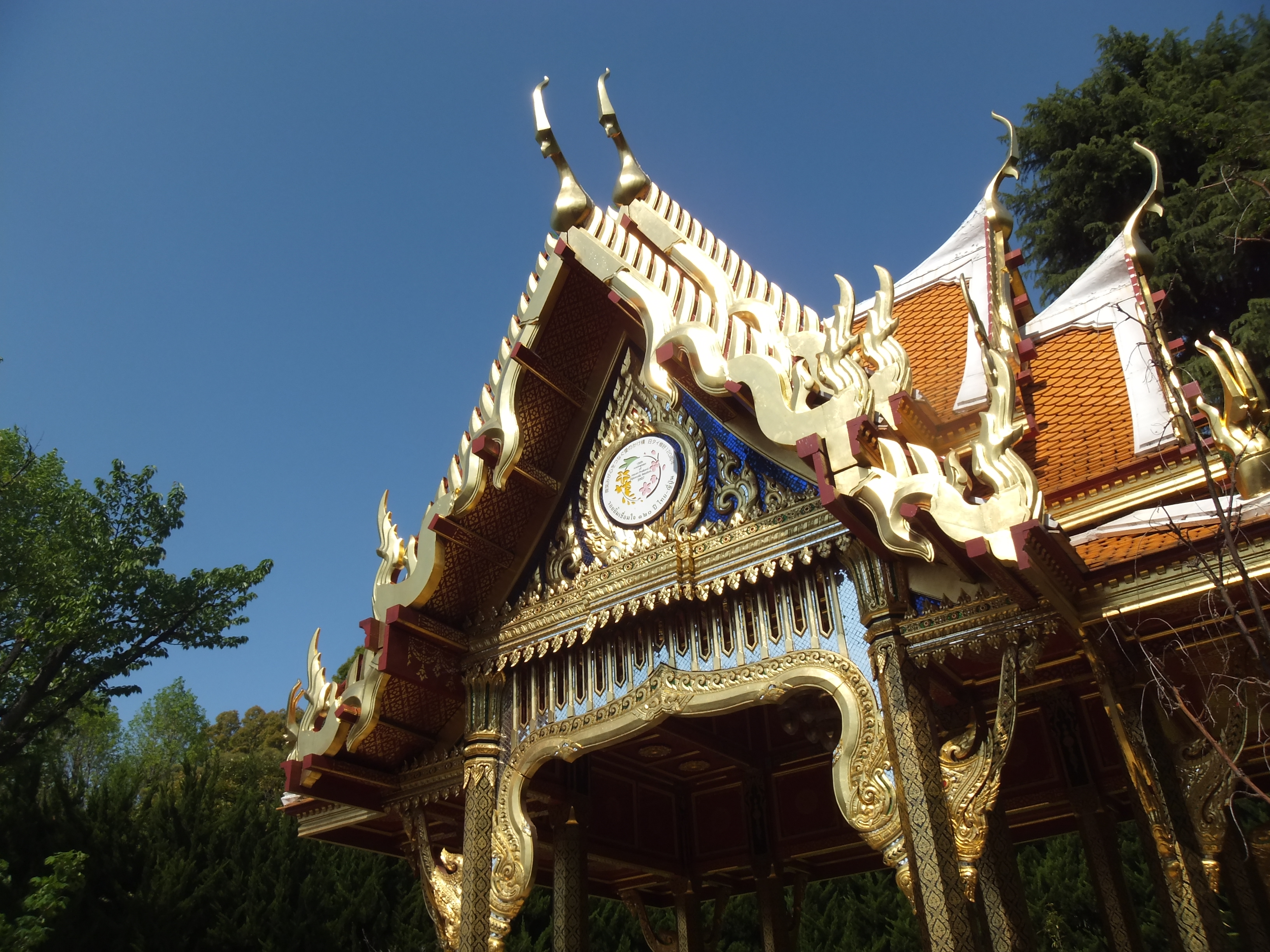 <b>Dレンジ100％/FinePix Z900EXR / 3,264×2,448 / 1/680秒 / F7 / 0EV / ISO100 / ダイナミックレンジ優先 / WB:オート / 5.6mm</b>