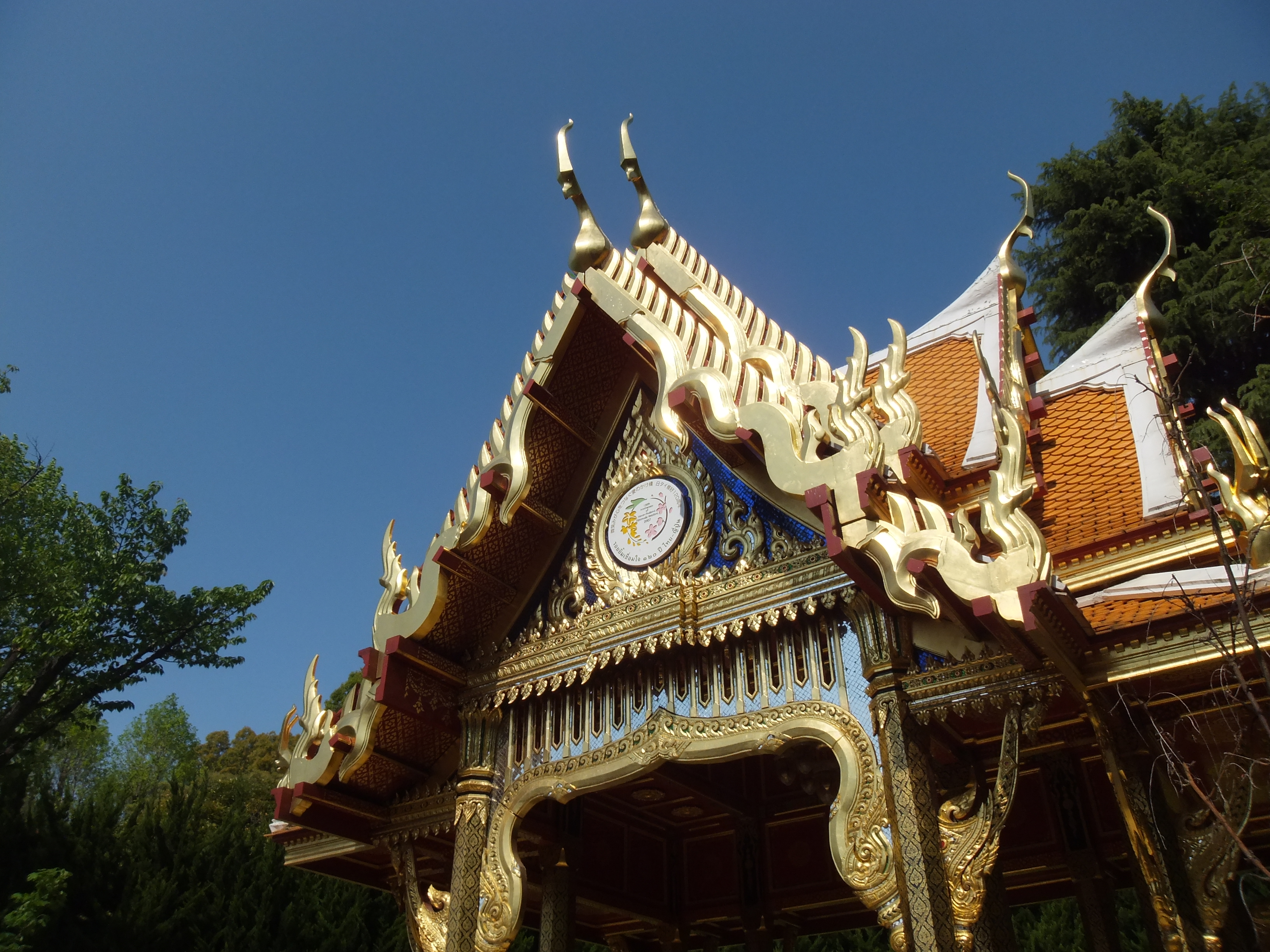 <b>Dレンジ400％/FinePix Z900EXR / 3,264×2,448 / 1/750秒 / F7 / 0EV / ISO100 / ダイナミックレンジ優先 / WB:オート / 5.6mm</b>