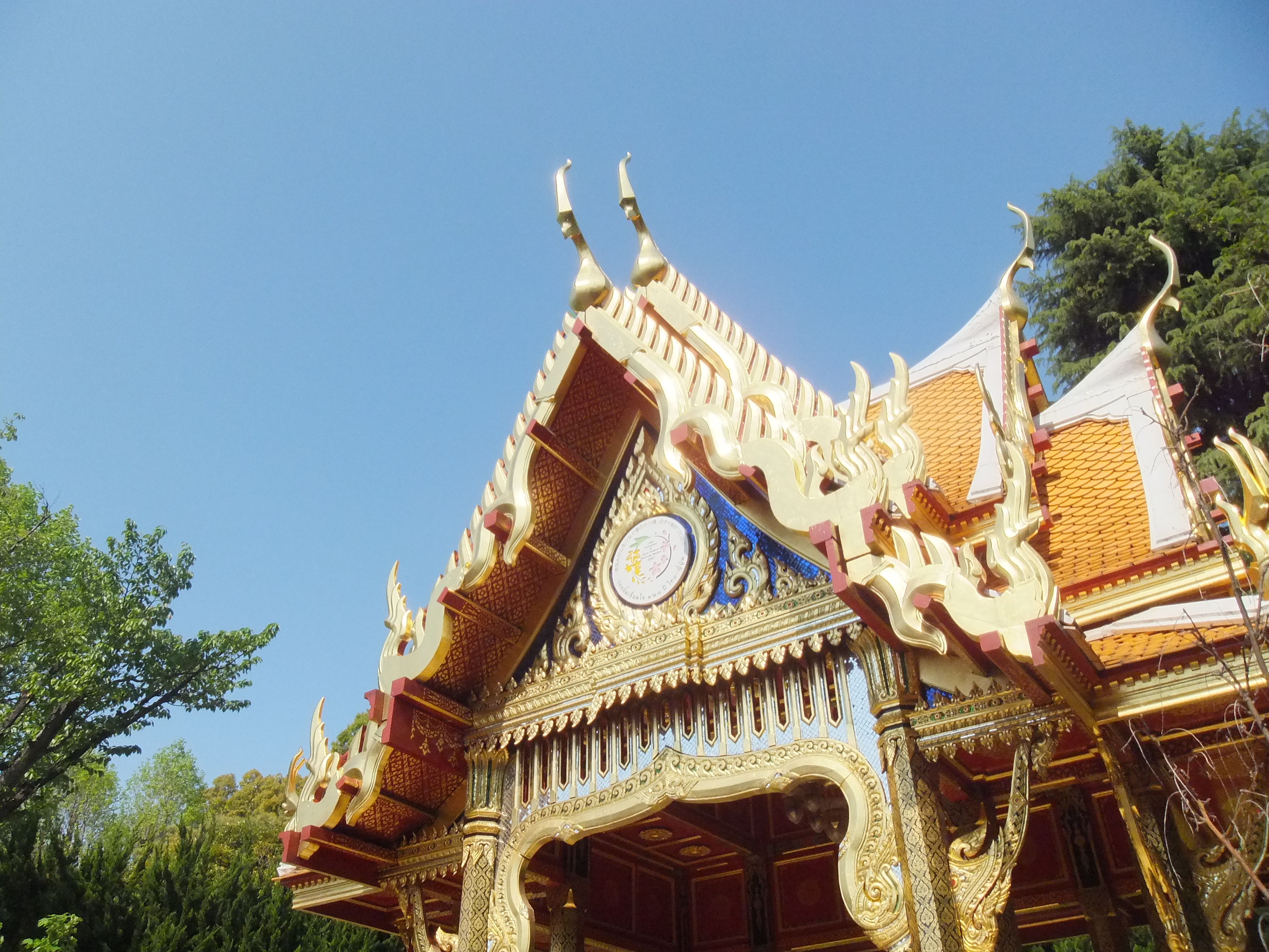 <b>Dレンジ1600％/FinePix Z900EXR / 3,264×2,448 / 1/1,000秒 / F7 / 0EV / ISO400 / ダイナミックレンジ優先 / WB:オート / 5.6mm</b>