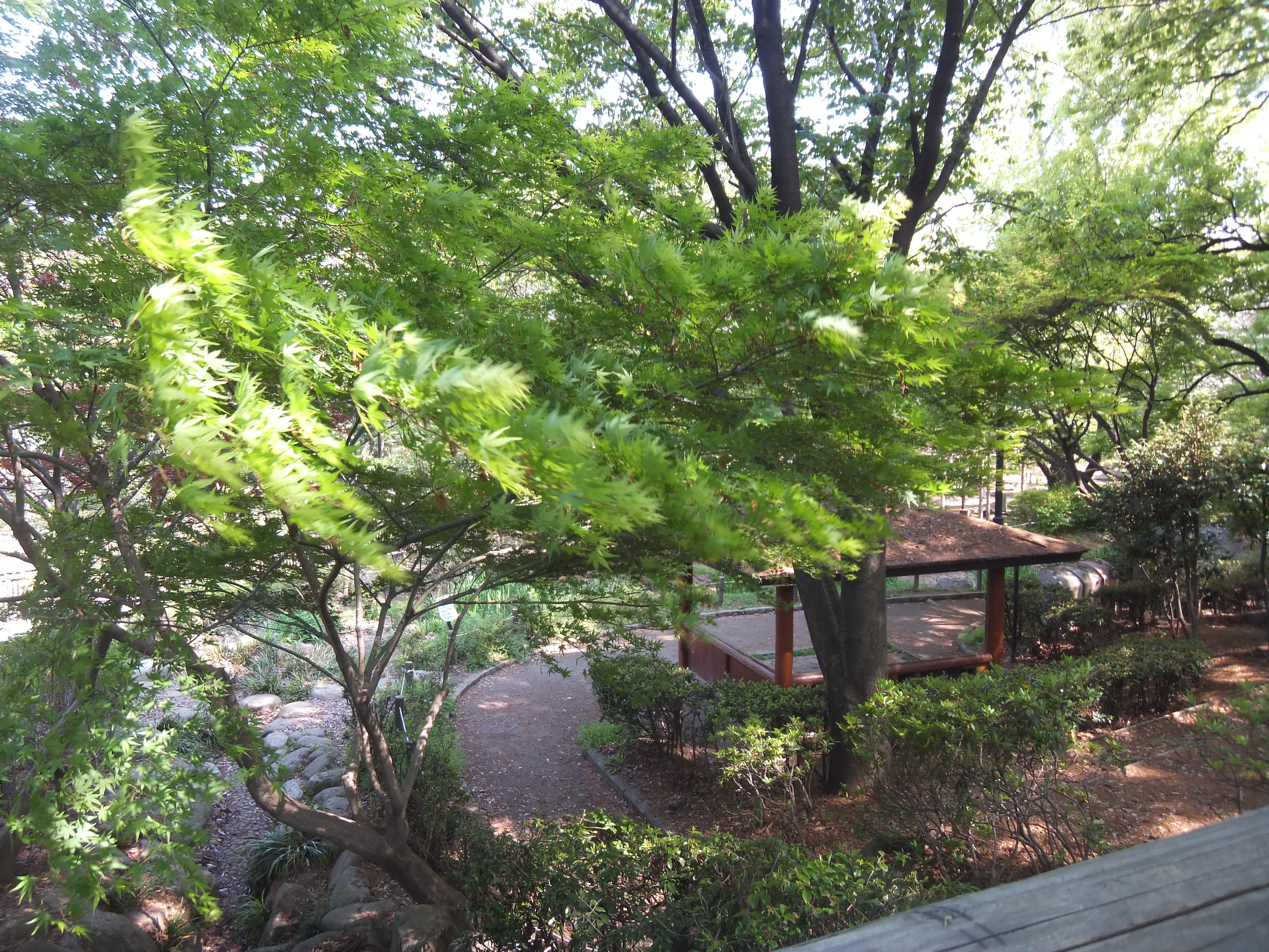 <b>プロビア/FinePix Z900EXR / 4,608×3,456 / 1/45秒 / F3.9 / 0EV / ISO100 / プログラム / WB:オート / 5mm</b>