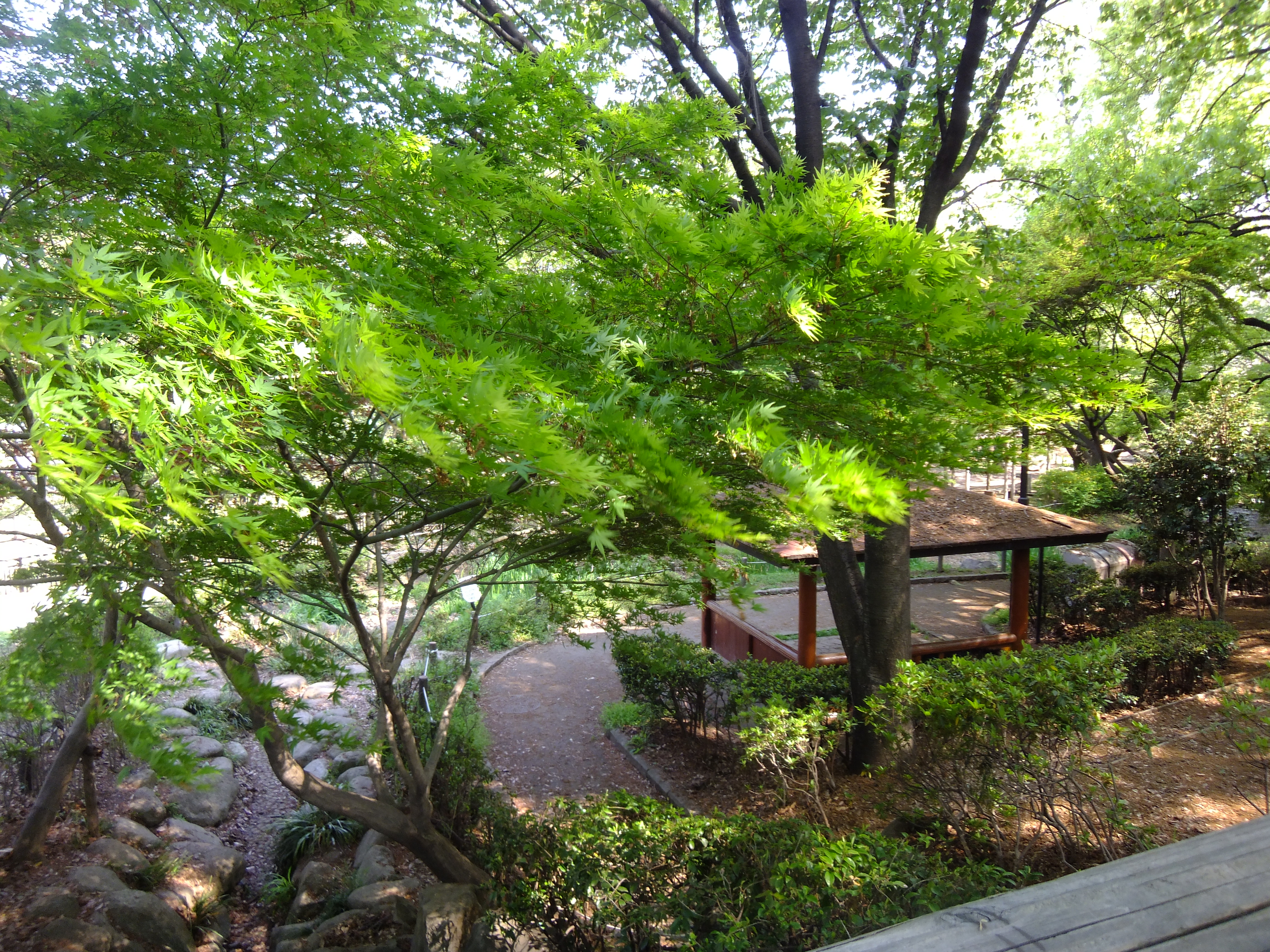 <b>ベルビア/FinePix Z900EXR / 4,608×3,456 / 1/42秒 / F3.9 / 0EV / ISO100 / プログラム / WB:オート / 5mm</b>