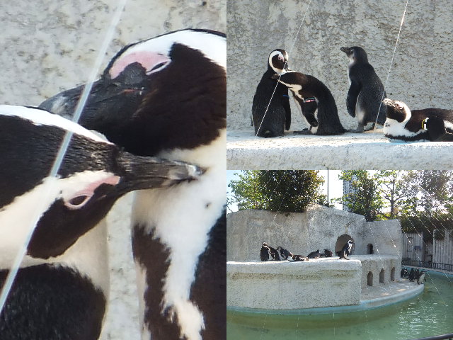 <b>FinePix Z900EXR / 640×480</b>