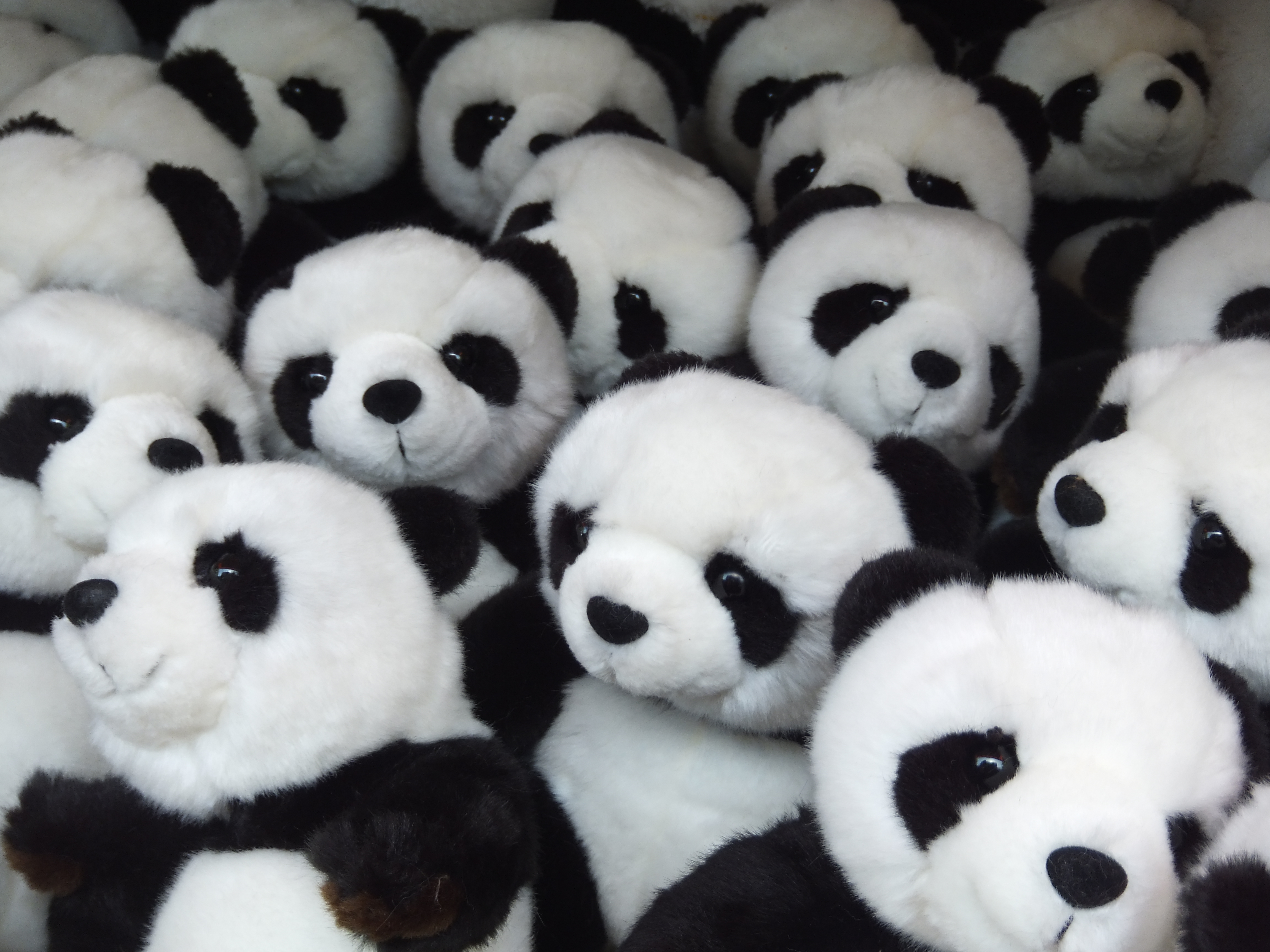 <b>FinePix Z900EXR / 4,608×3,456 / 1/100秒 / F4.6 / 0EV / ISO100 / プログラム / WB:オート / 10.5mm</b>