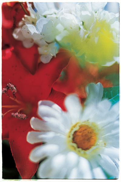 <b>（c）mika ninagawa Courtesy of Tomio Koyama Gallery</b>