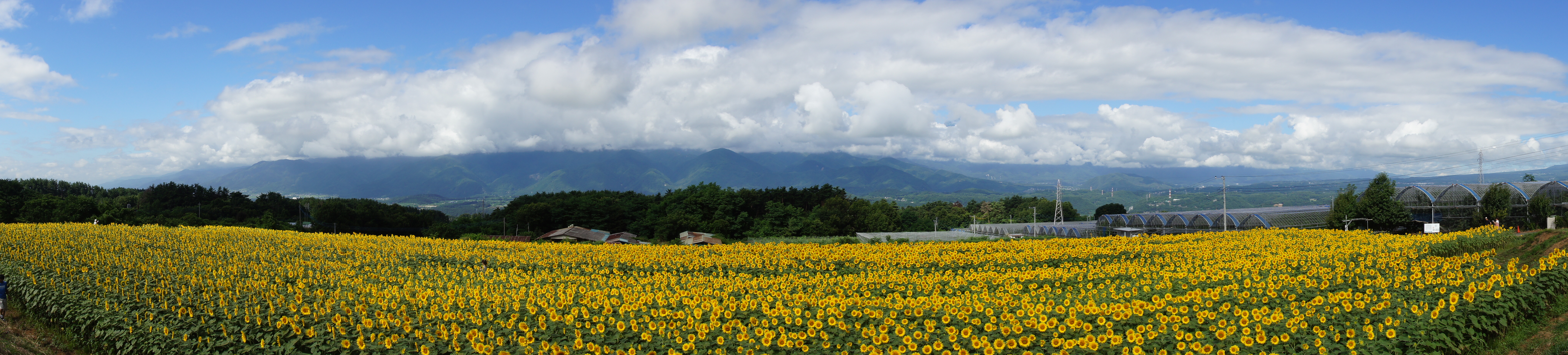 <b>カメラを横位置に構えてスイングパノラマ。画像サイズは［標準］だが、これでも結構な角度でカメラを振る必要がある。欲を言えば、青空をもっと入れたいところだ（β機で撮影）
        <br>α55 / DT 16-80mm F3.5-4.5 ZA / 8,192×1,856 / 1/200秒 / F3.5 / 0EV / ISO100 / スイングパノラマ / WB:太陽光 / 16mm</b>