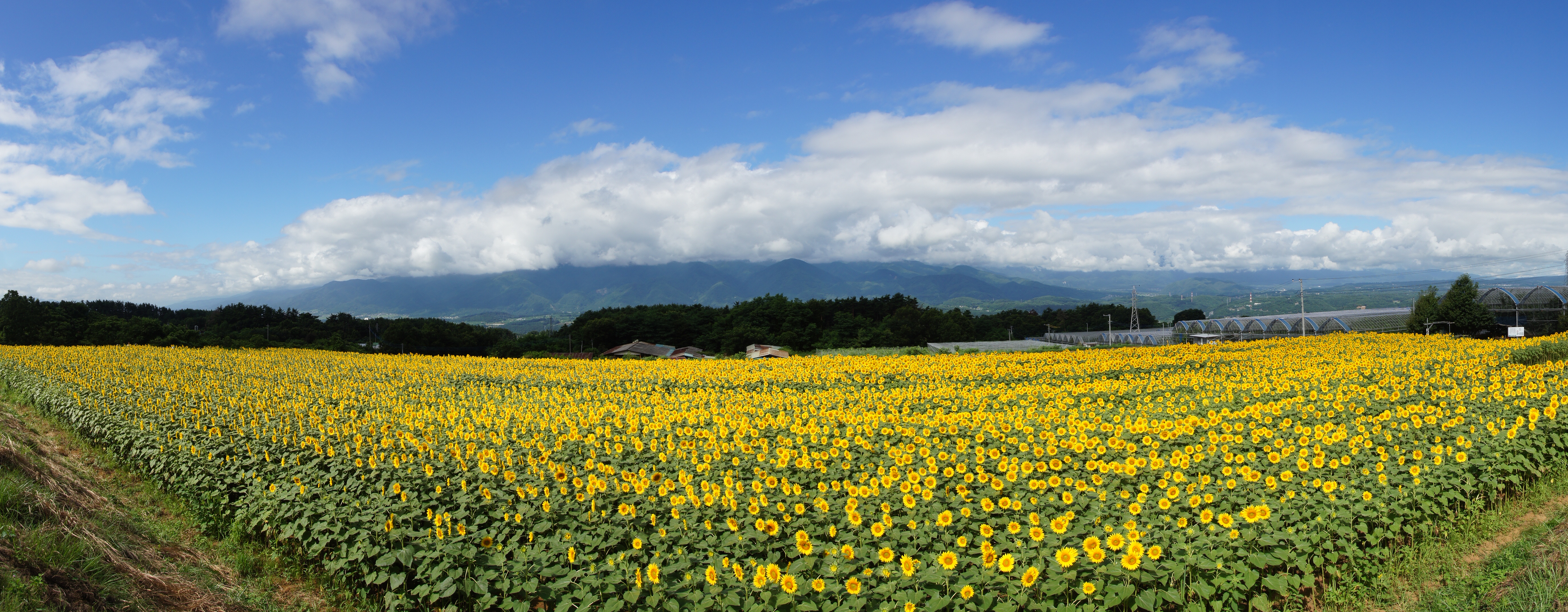 <b>撮影方向を［上］または［下］に変更し、カメラを縦に構えてスイングパノラマしてみた。画像サイズは［ワイド］だ。縦横比がおとなしくなったので左右のワイド感は少なくなったものの、上下方向の広がり感が大幅に増している（β機で撮影）
        <br>α55 / DT 16-80mm F3.5-4.5 ZA / 5,536×2,160 / 1/200秒 / F10 / 0EV / ISO100 / スイングパノラマ / WB:太陽光 / 16mm</b>