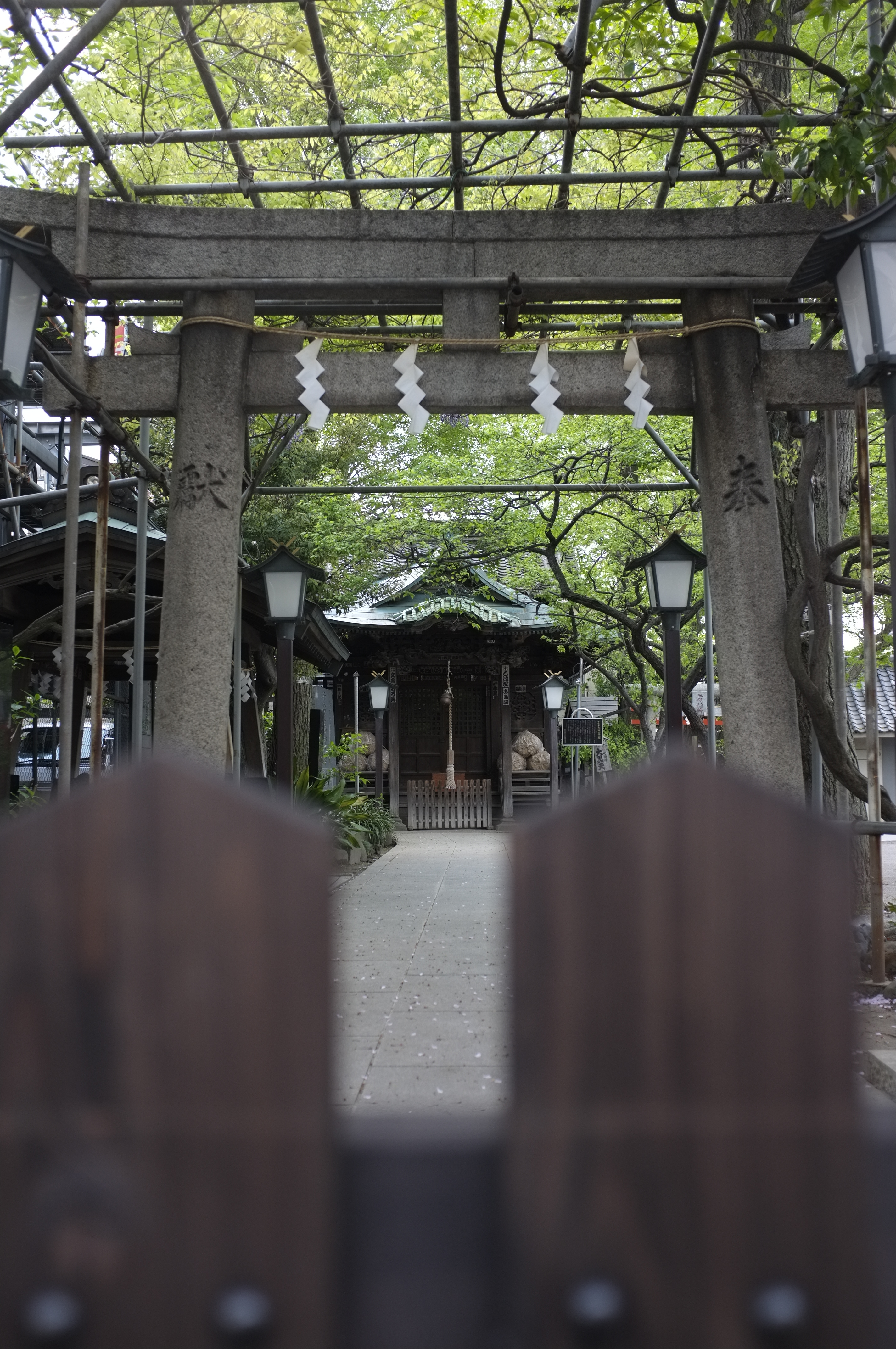 <b>JPEG撮って出し/プロビア</b>