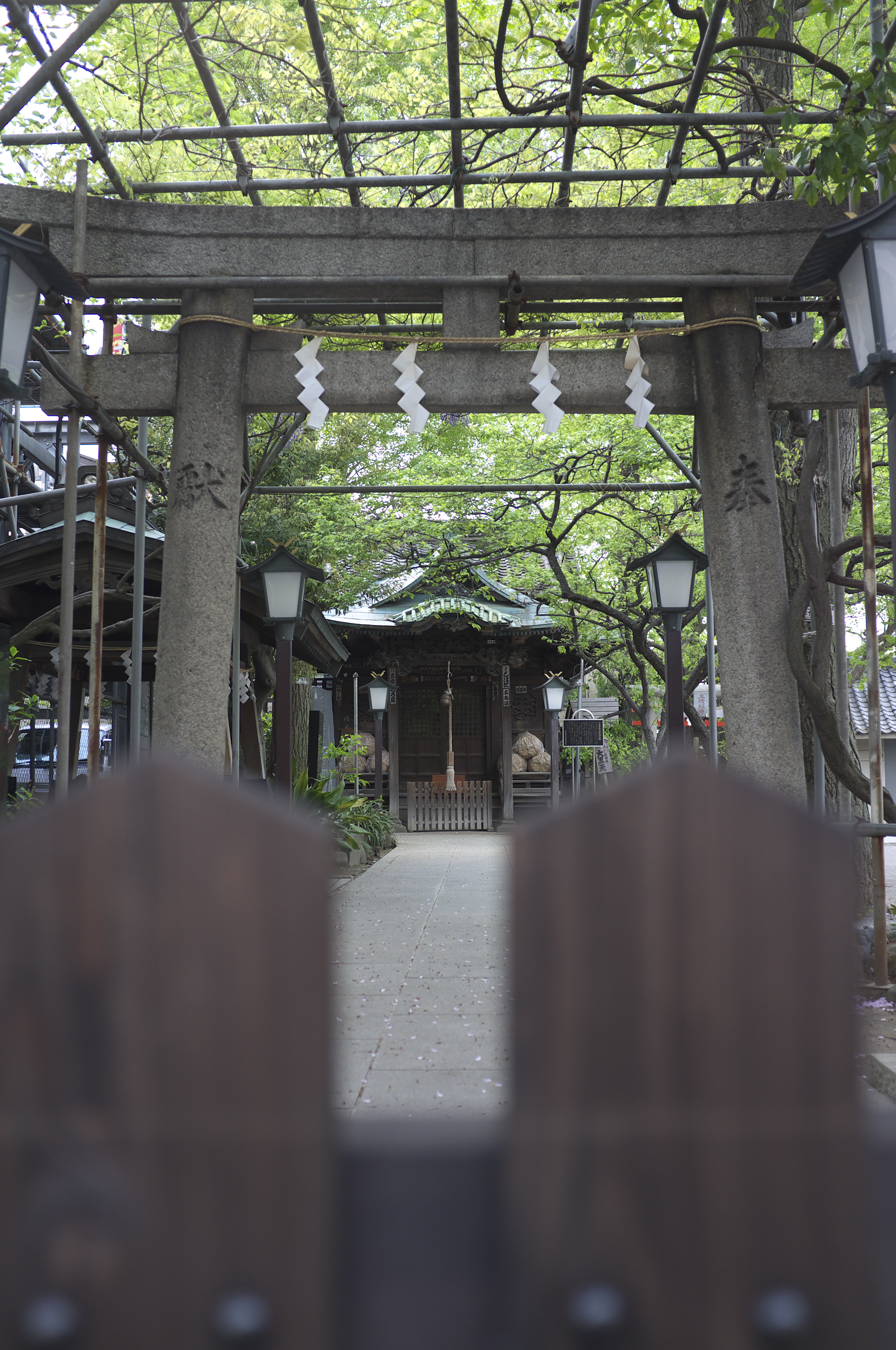 <b>RAW FILE CONVERTER EX</b>