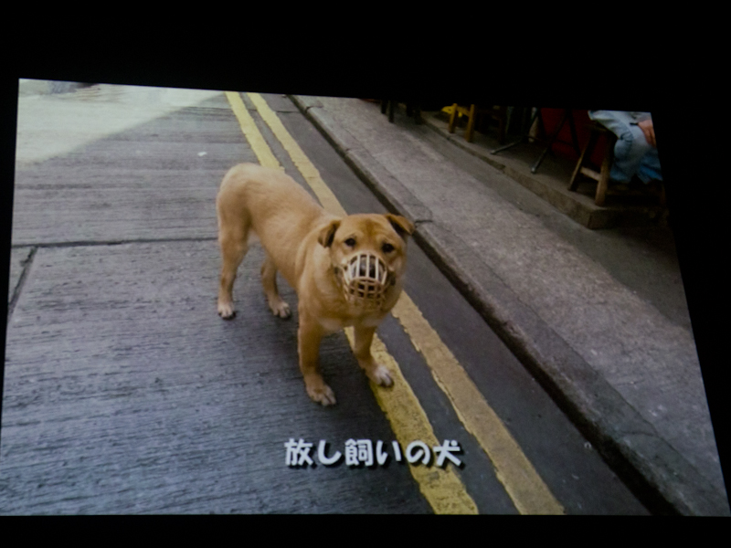 <b>動画とテロップをまじえて、香港の風景をスナップしたインベカヲリ氏の作品の一部</b>