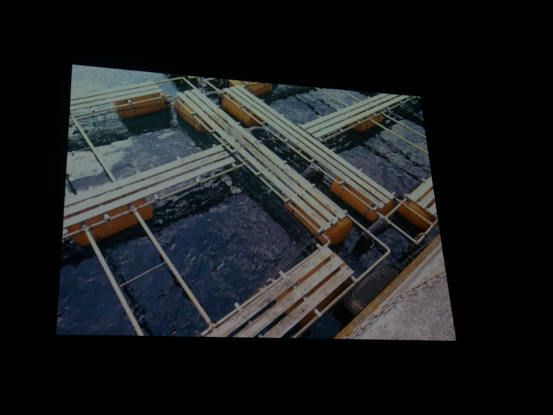 <b>八丈島の各地を回った牧野氏の作品の一部。「旅は通過点」と話した</b>