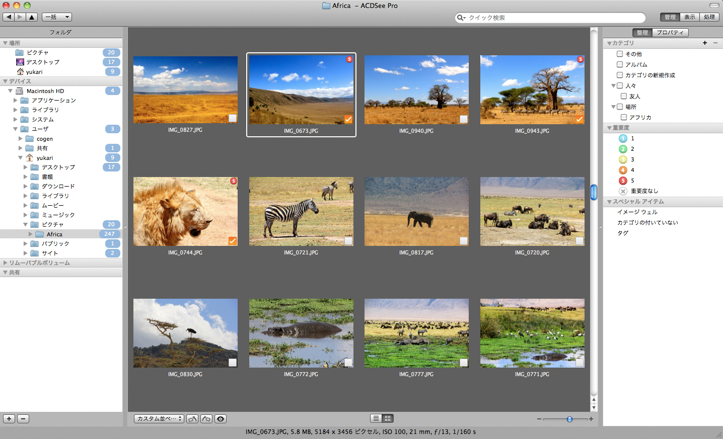 <b>カテゴリ設定やレーティング機能などを備えるほか、フォルダーに収納している写真の枚数も表示する</b>