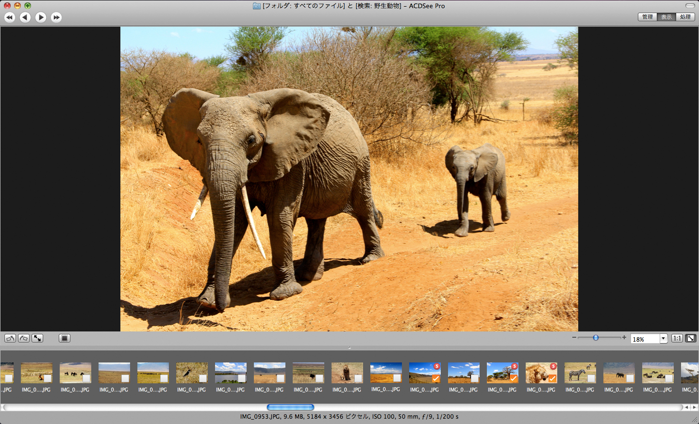 <b>ビューモード</b>