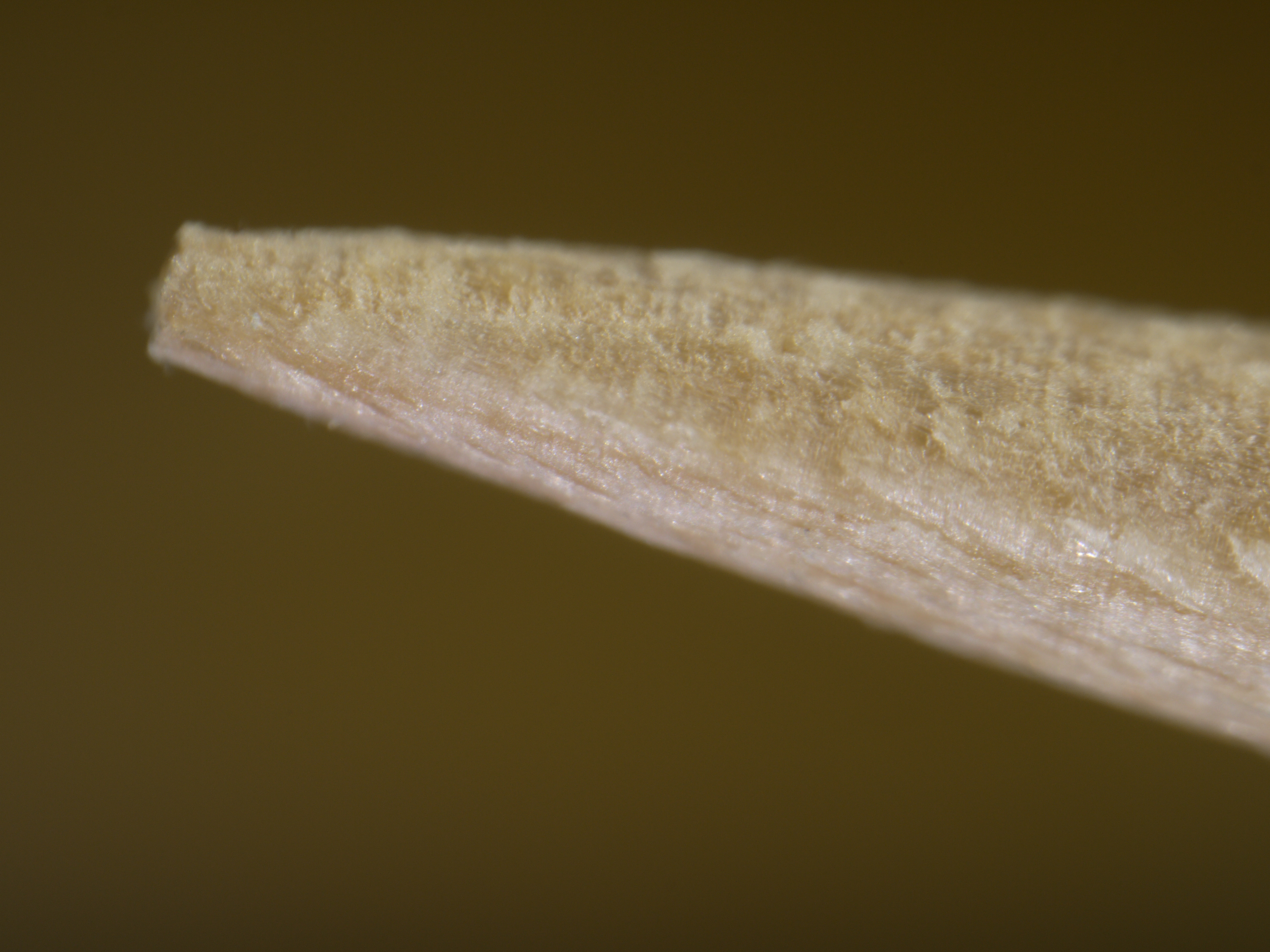 <b>【爪楊枝】実は先端は平ら。DMC-GF2 / NANOHA / 4,000×3,000 / 1/25秒 / F22 / 0EV / ISO100 / 絞り優先AE / WB:カスタム</b>