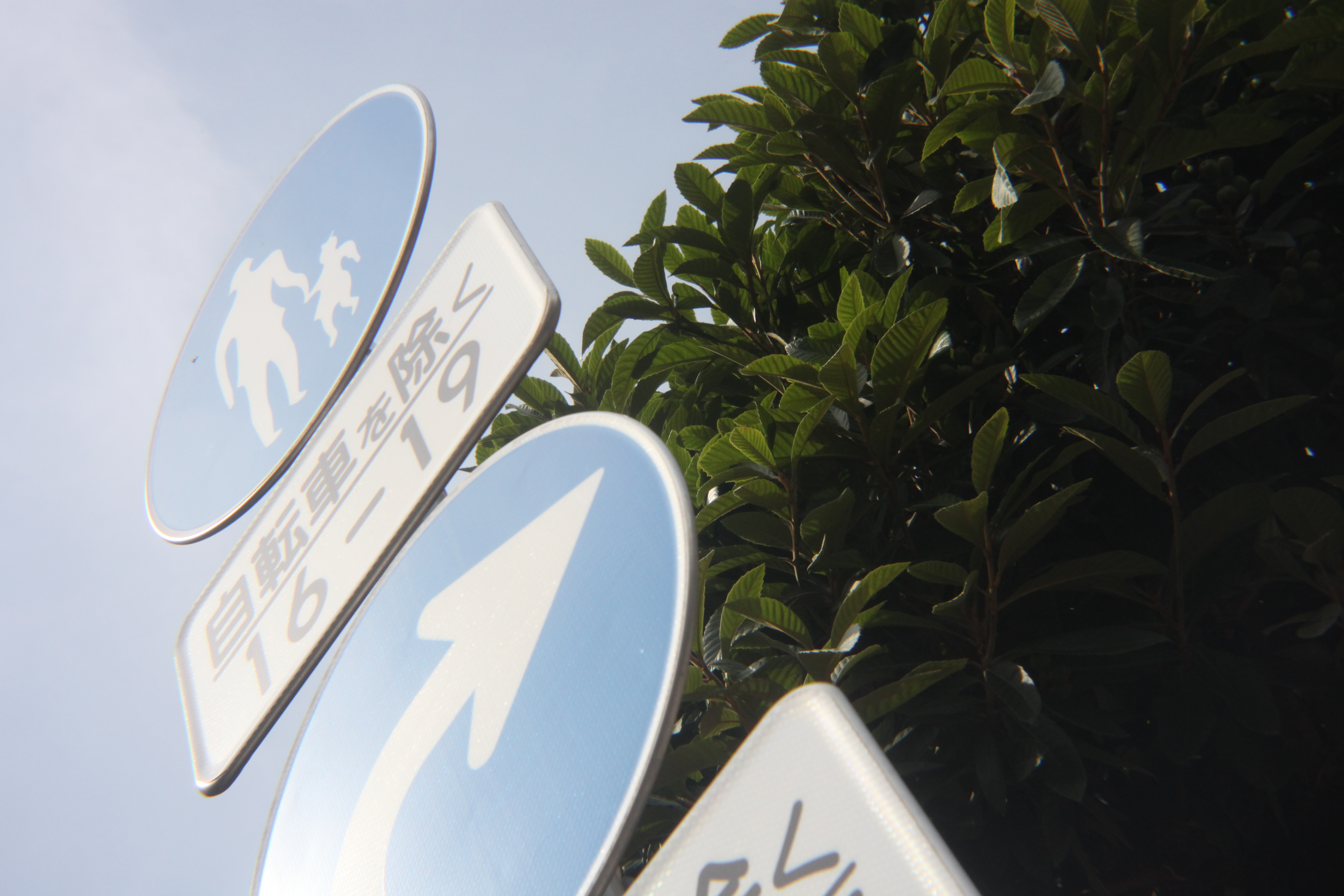 <b>EOS 5D Mark II / 5,616×3,744 / 1/800秒 / F8 / 0EV / ISO1600 / 絞り優先AE / WB:オート / 60mm</b>