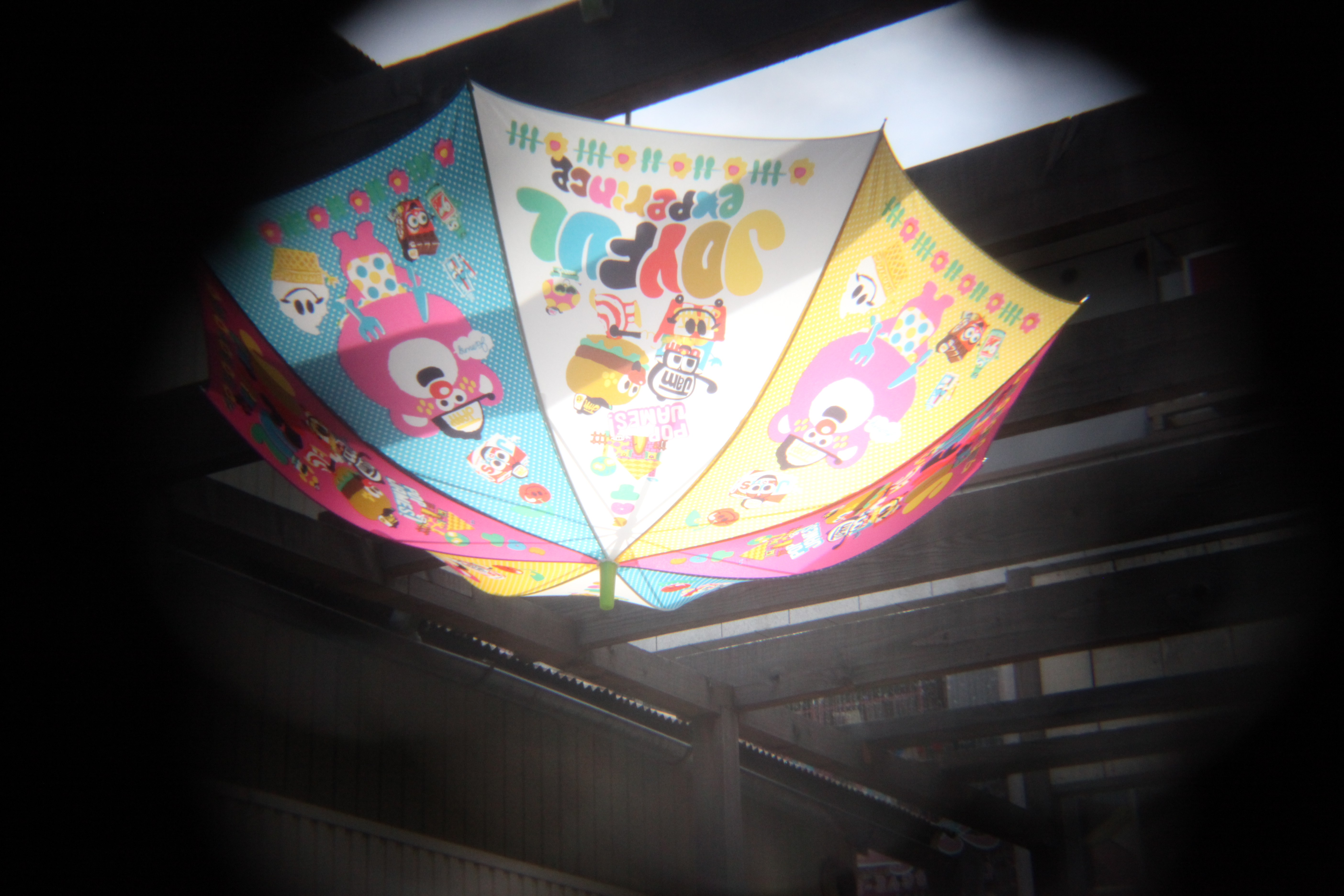 <b>EOS 5D Mark II / 5,616×3,744 / 1/320秒 / F8 / +1EV / ISO3200 / 絞り優先AE / WB:オート / 60mm</b>