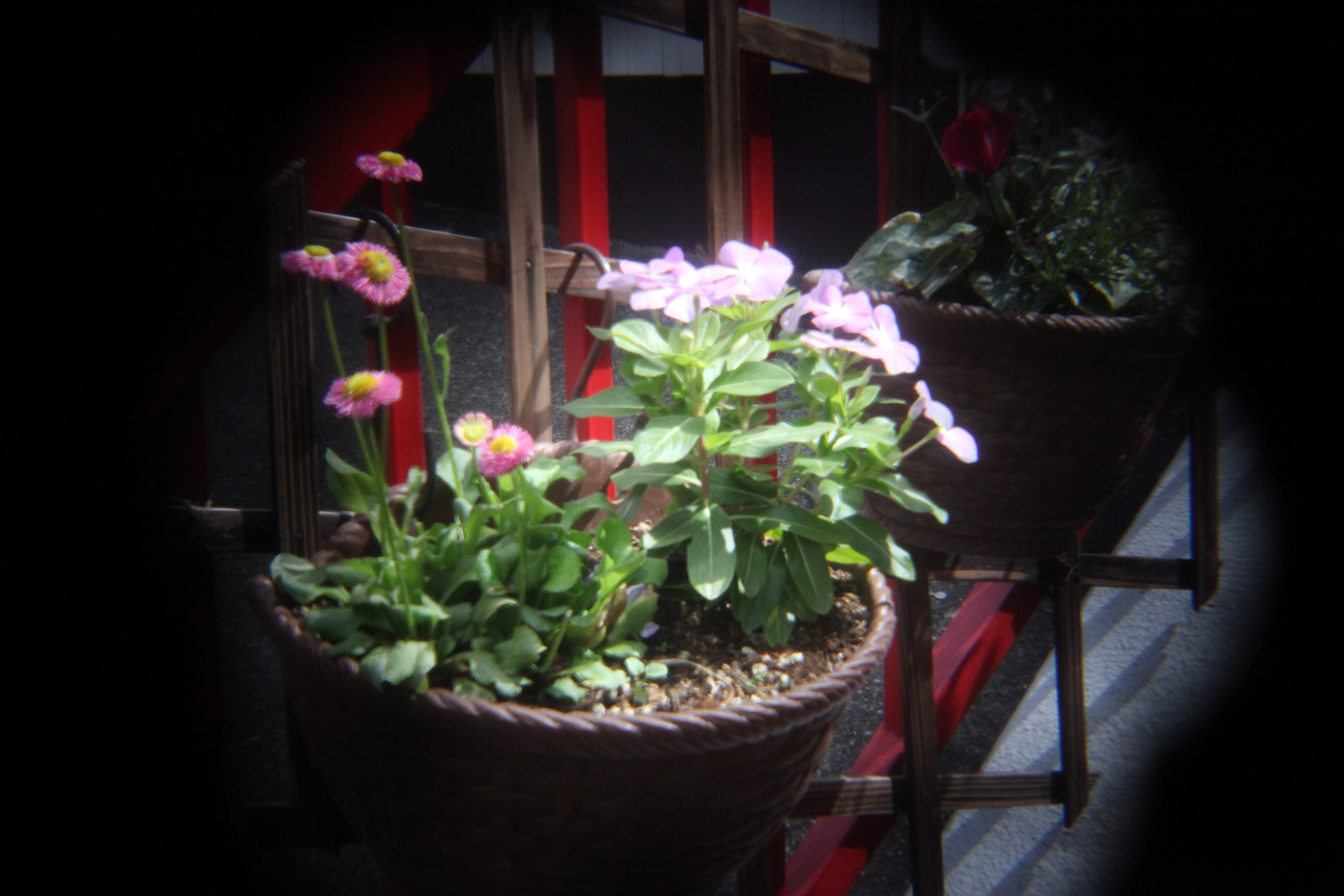 <b>EOS 5D Mark II / 5,616×3,744 / 1/125秒 / F8 / 0EV / ISO3200 / 絞り優先AE / WB:オート / 60mm</b>