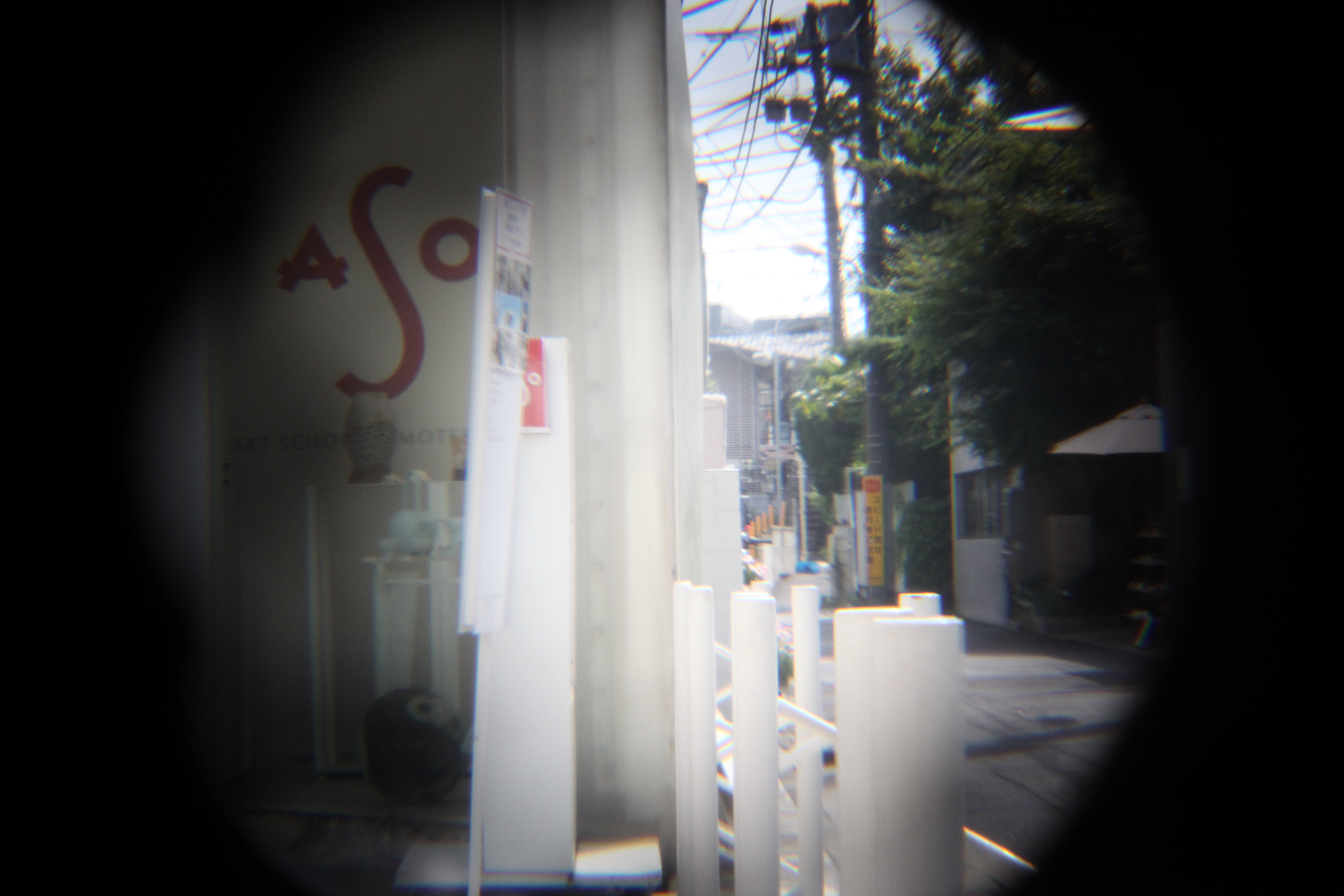 <b>EOS 5D Mark II / 5,616×3,744 / 1/100秒 / F8 / +2EV / ISO1600 / 絞り優先AE / WB:オート / 60mm</b>