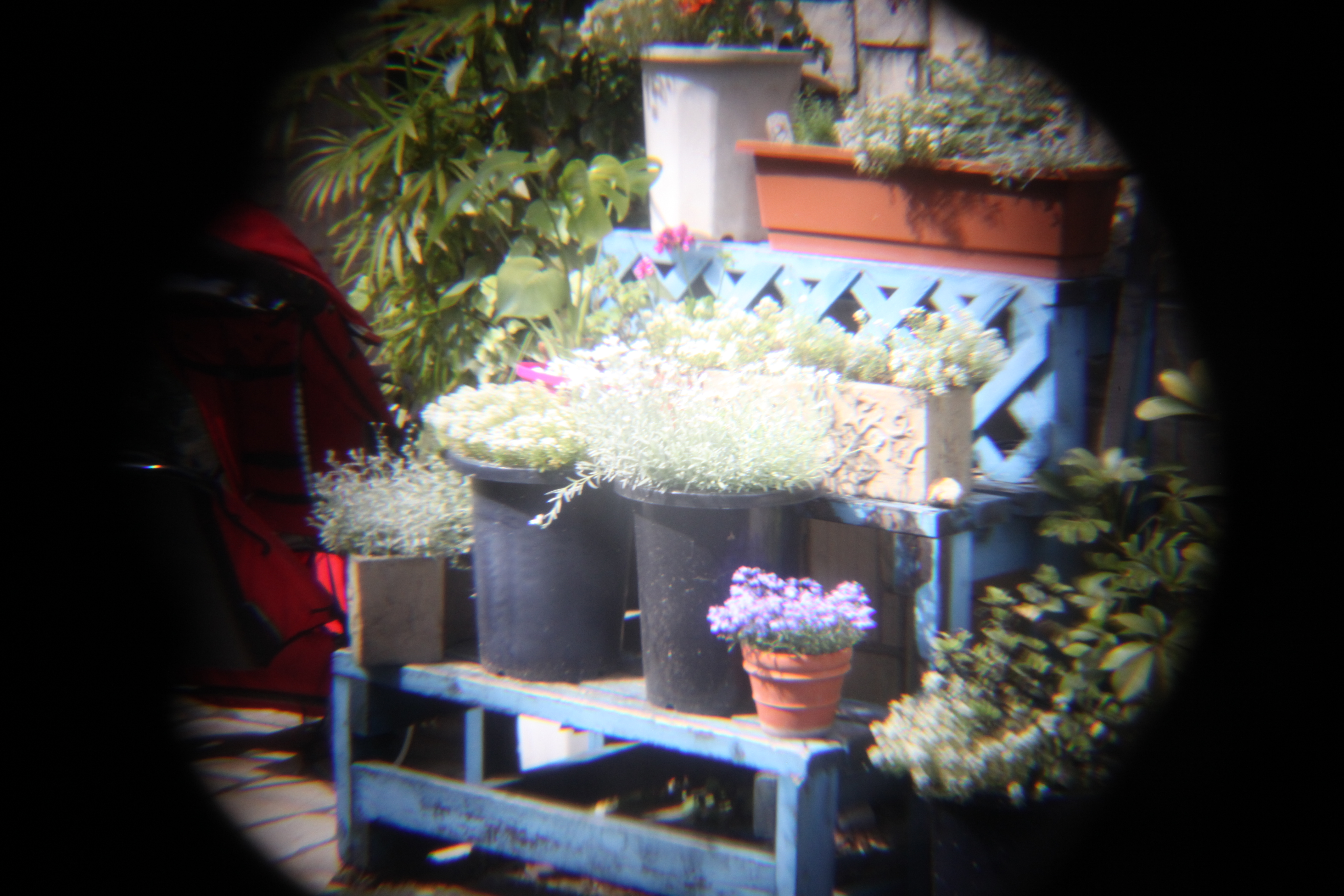 <b>EOS 5D Mark II / 5,616×3,744 / 1/50秒 / F8 / +1EV / ISO1600 / 絞り優先AE / WB:オート / 60mm</b>