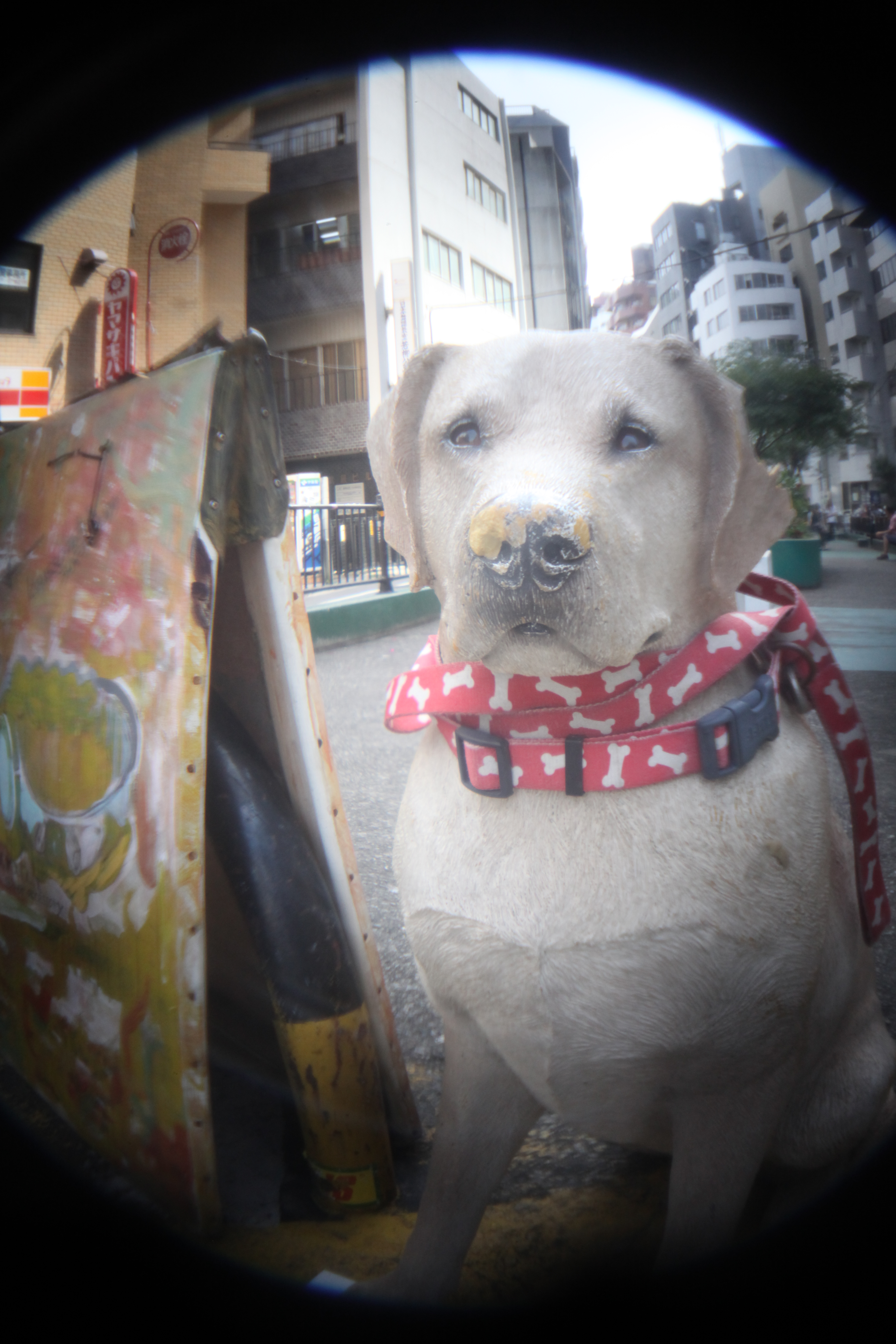 <b>EOS 5D Mark II / 3,744×5,616 / 1/30秒 / F8 / +1EV / ISO1600 / 絞り優先AE / WB:オート / 60mm</b>