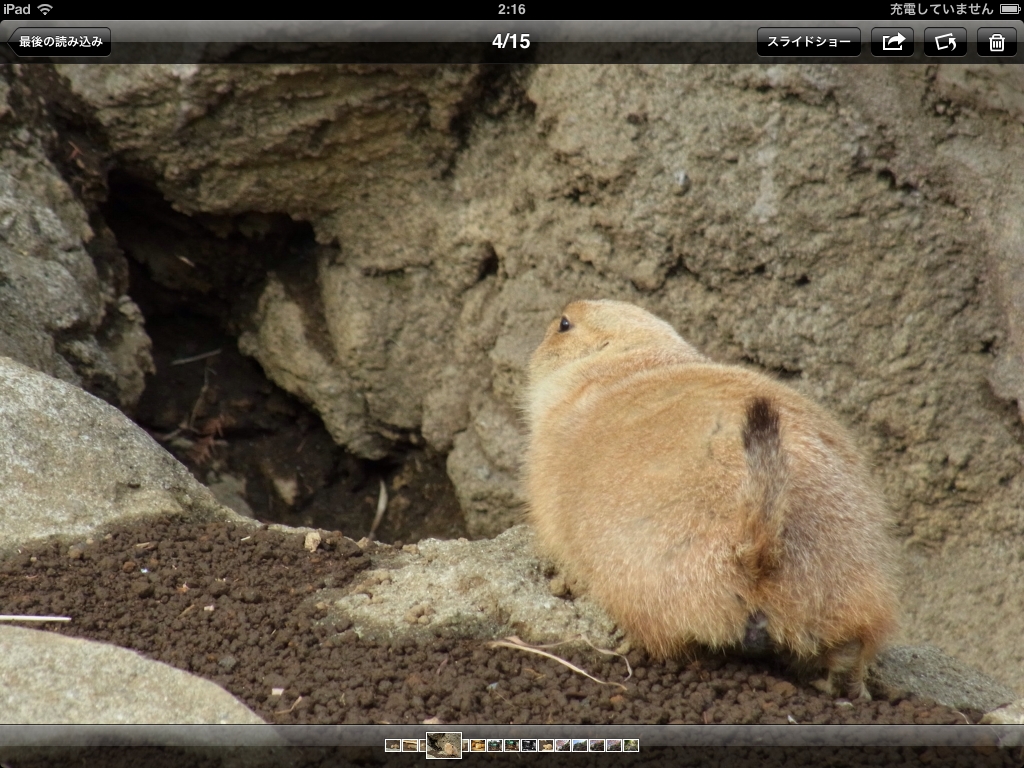 <b>画像の単独表示。スライドショーや画像の共有、削除などが可能</b>