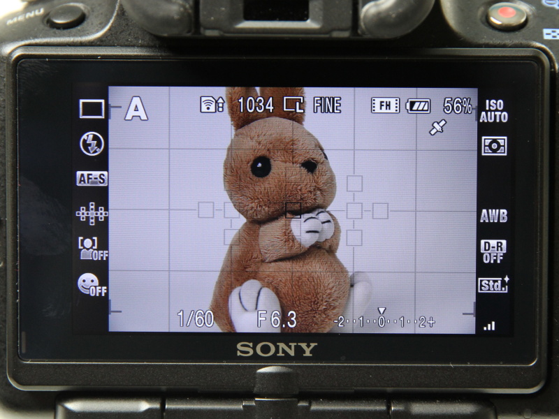 <b>GPS搭載のソニーα55は、Eye-Fi連動機能も搭載。撮影画面の左上に動作状況のアイコンが出る</b>