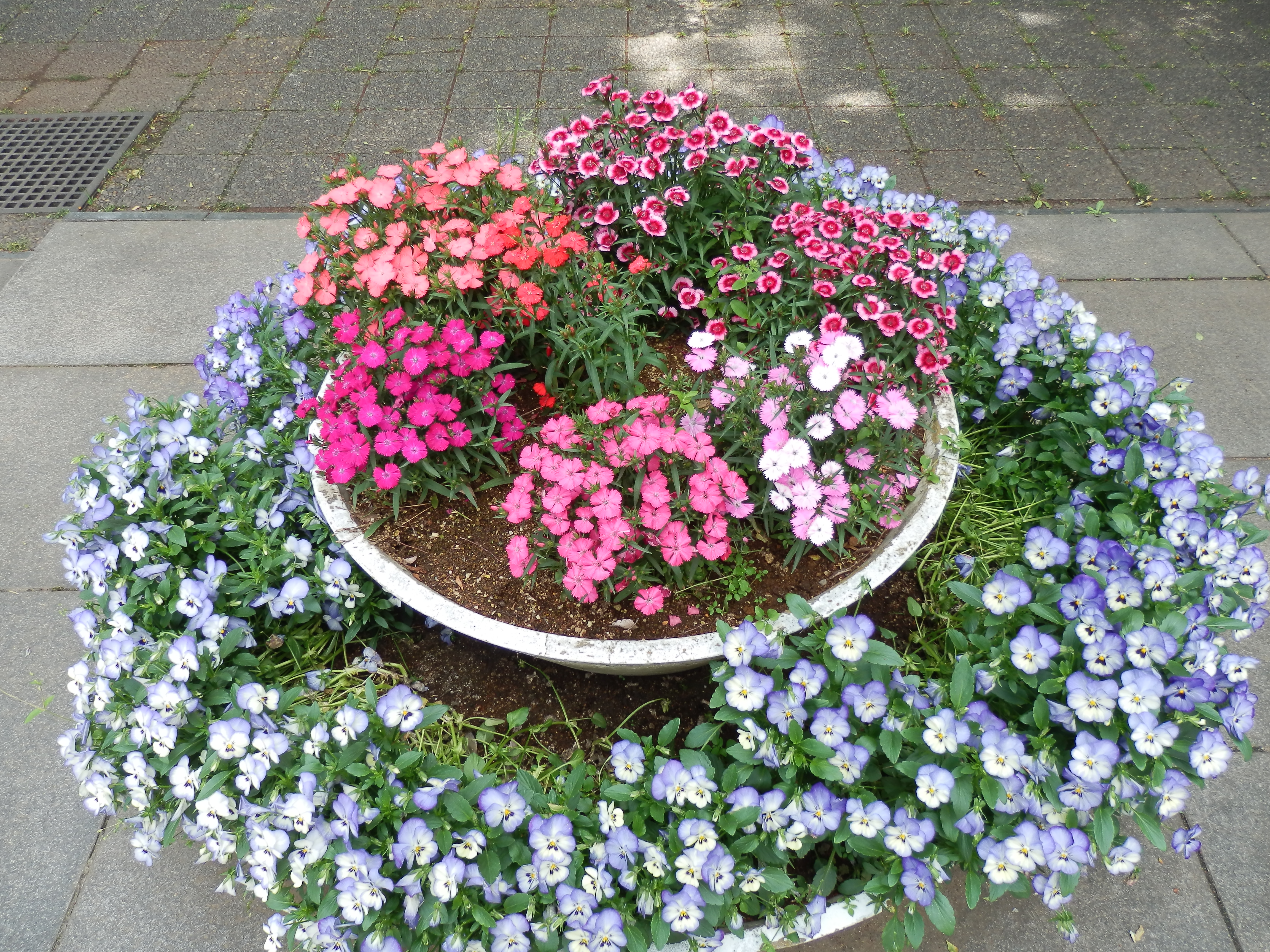 <b>ISO80 / SZ-30MR / 約6.8MB / 4,608×3,456 / 1/160秒 / F3 / 0.0EV / WB:晴天 / 4.5mm</b>