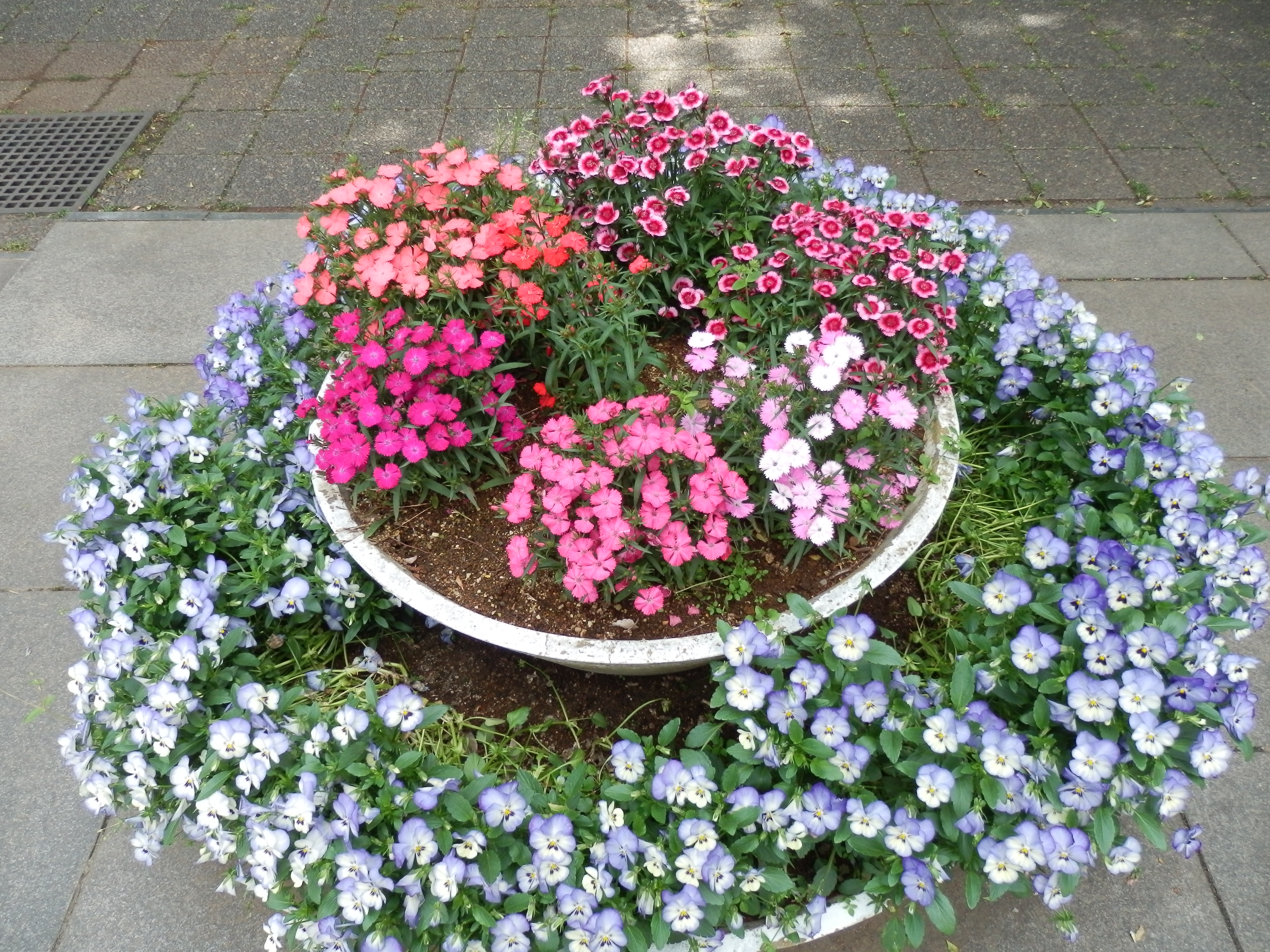 <b>ISO200 / SZ-30MR / 約6.6MB / 4,608×3,456 / 1/500秒 / F3 / 0.0EV / WB:晴天 / 4.5mm</b>