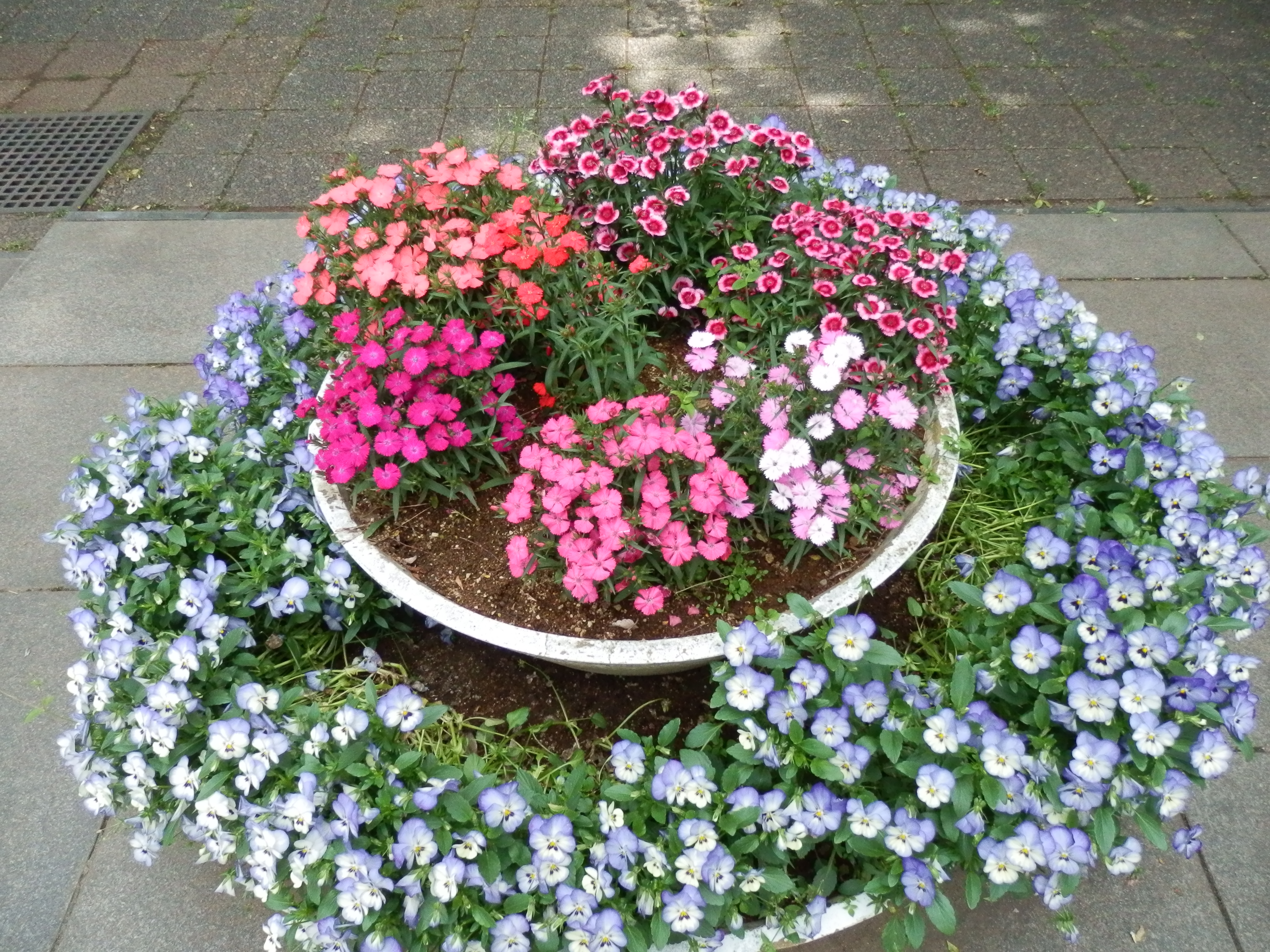 <b>ISO800 / SZ-30MR / 約6.7MB / 4,608×3,456 / 1/250秒 / F8.7 / 0.0EV / WB:晴天 / 4.5mm</b>