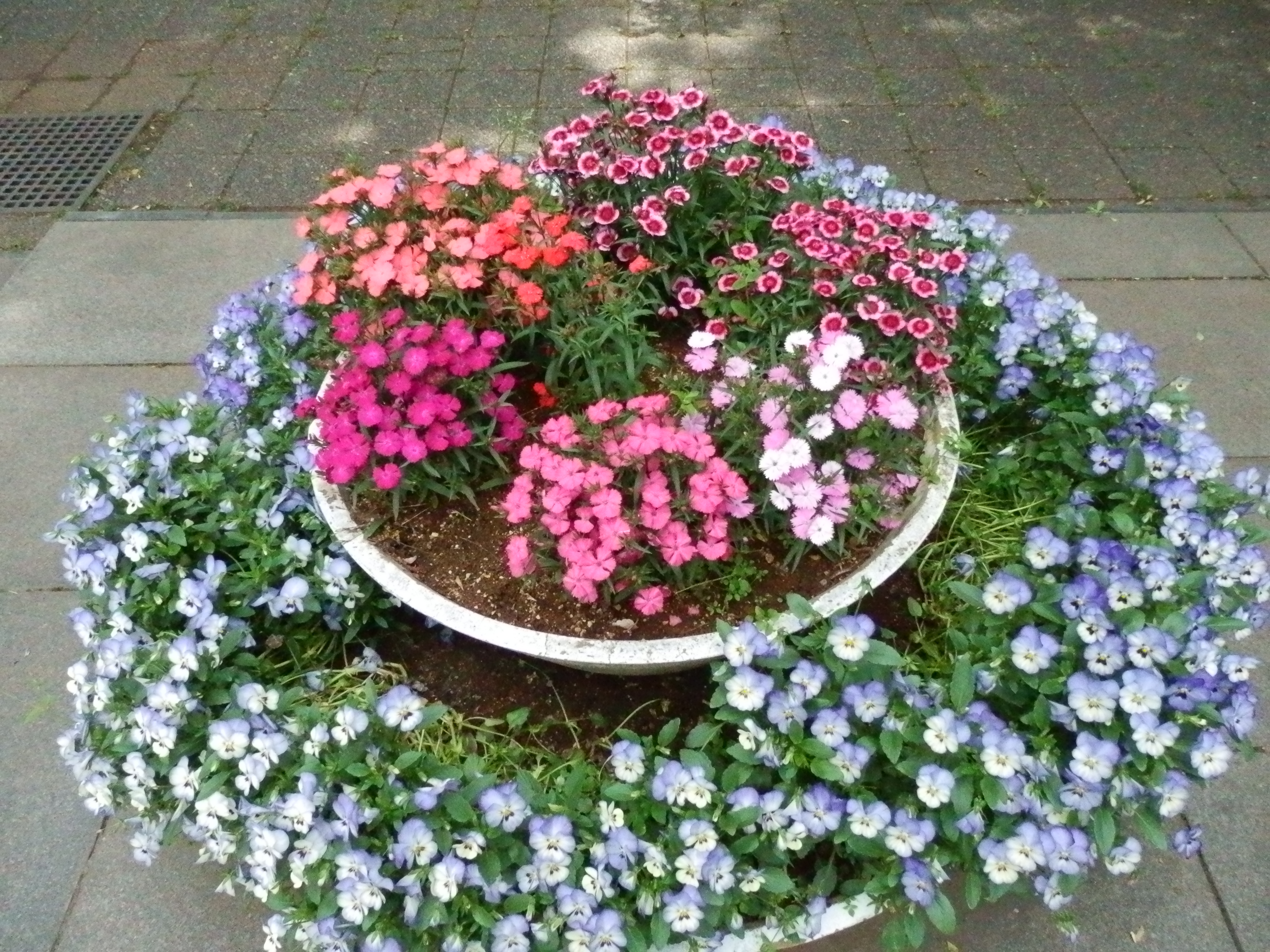 <b>ISO3200 / SZ-30MR / 約7.0MB / 4,608×3,456 / 1/1,000秒 / F8.7 / 0.0EV / WB:晴天 / 4.5mm</b>