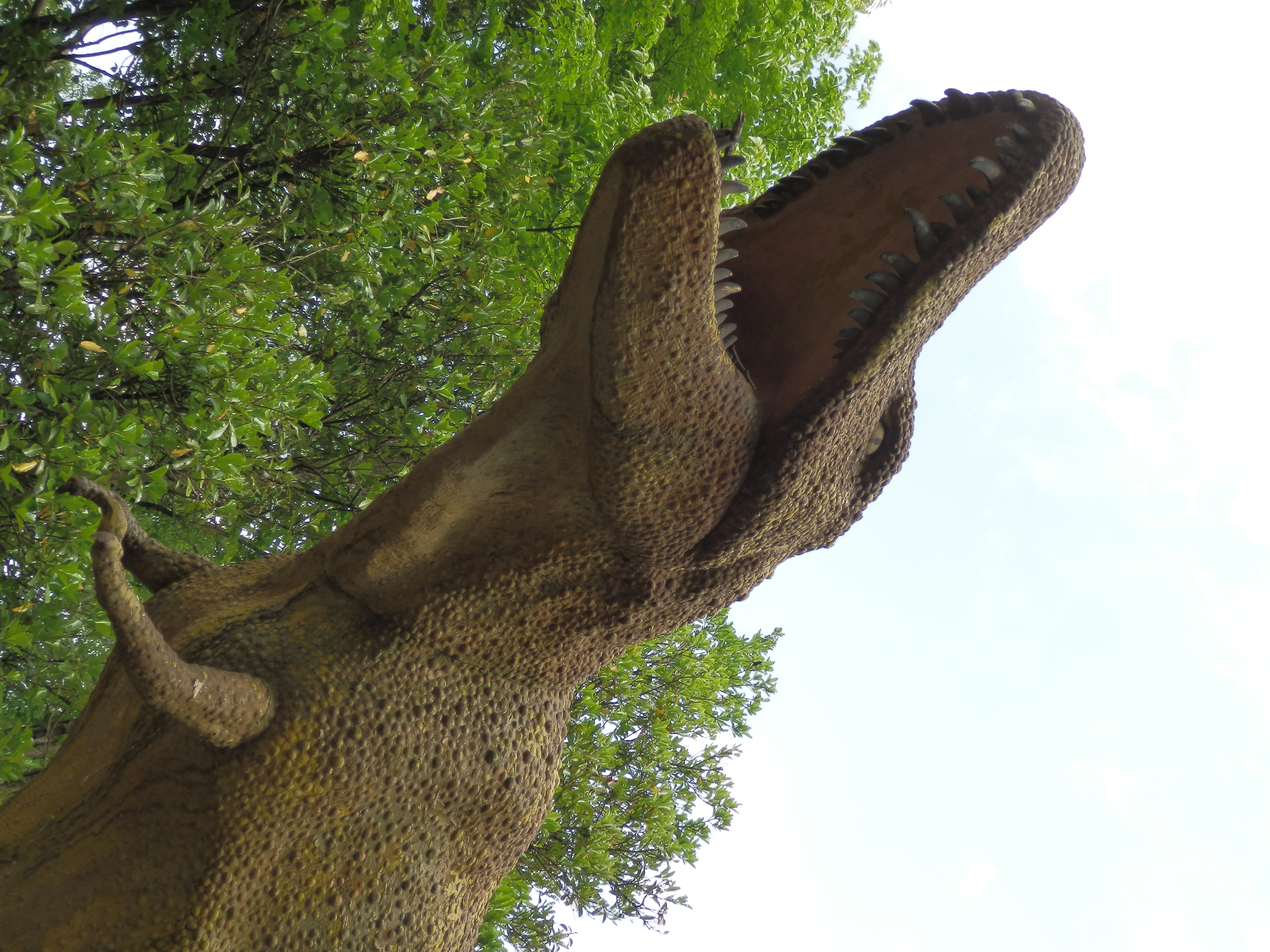 <b>ストロボOff / SZ-30MR / 約6.6MB / 3,456×4,608 / 1/250秒 / F3.7 / 0.0EV / ISO80 / WB:オート / 7.3mm</b>