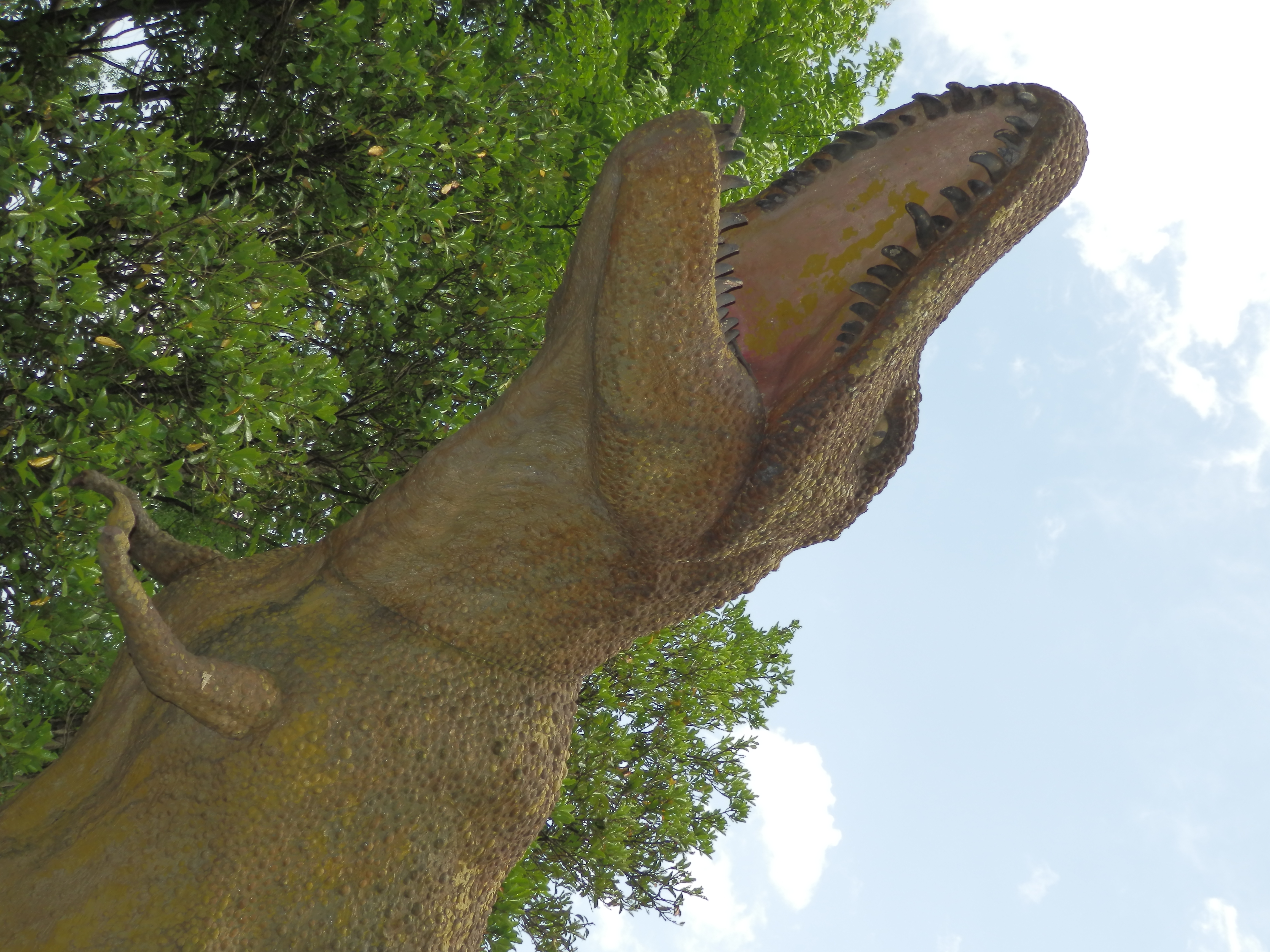 <b>ストロボOn / SZ-30MR / 約6.1MB / 3,456×4,608 / 1/320秒 / F3.7 / 0.0EV / ISO80 / WB:オート / 7.3mm</b>