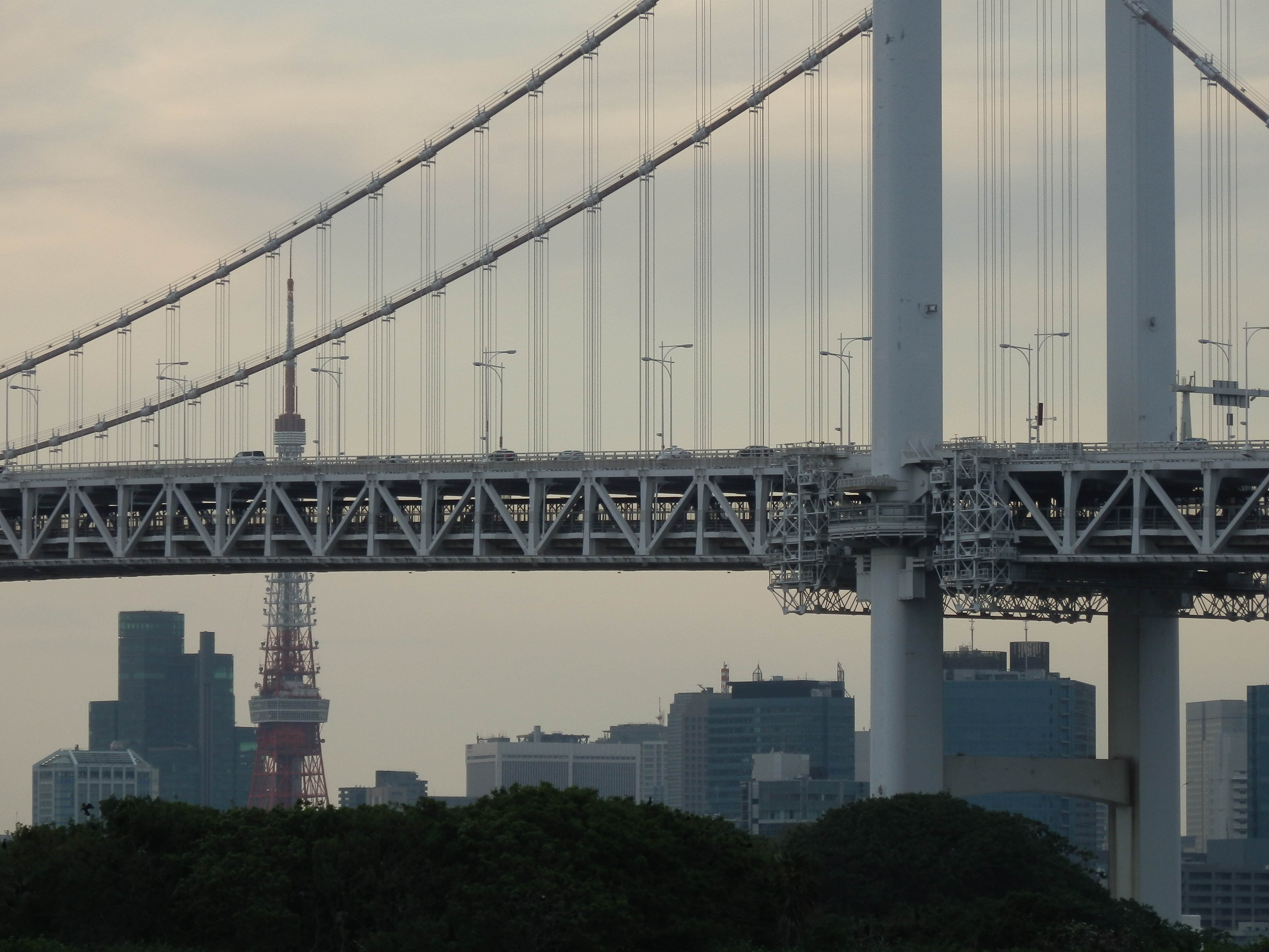 <b>SZ-30MR / 約6.8MB / 4,608×3,456 / 1/200秒 / F6.2 / 0.0EV / ISO100 / WB:オート / 44.4mm</b>