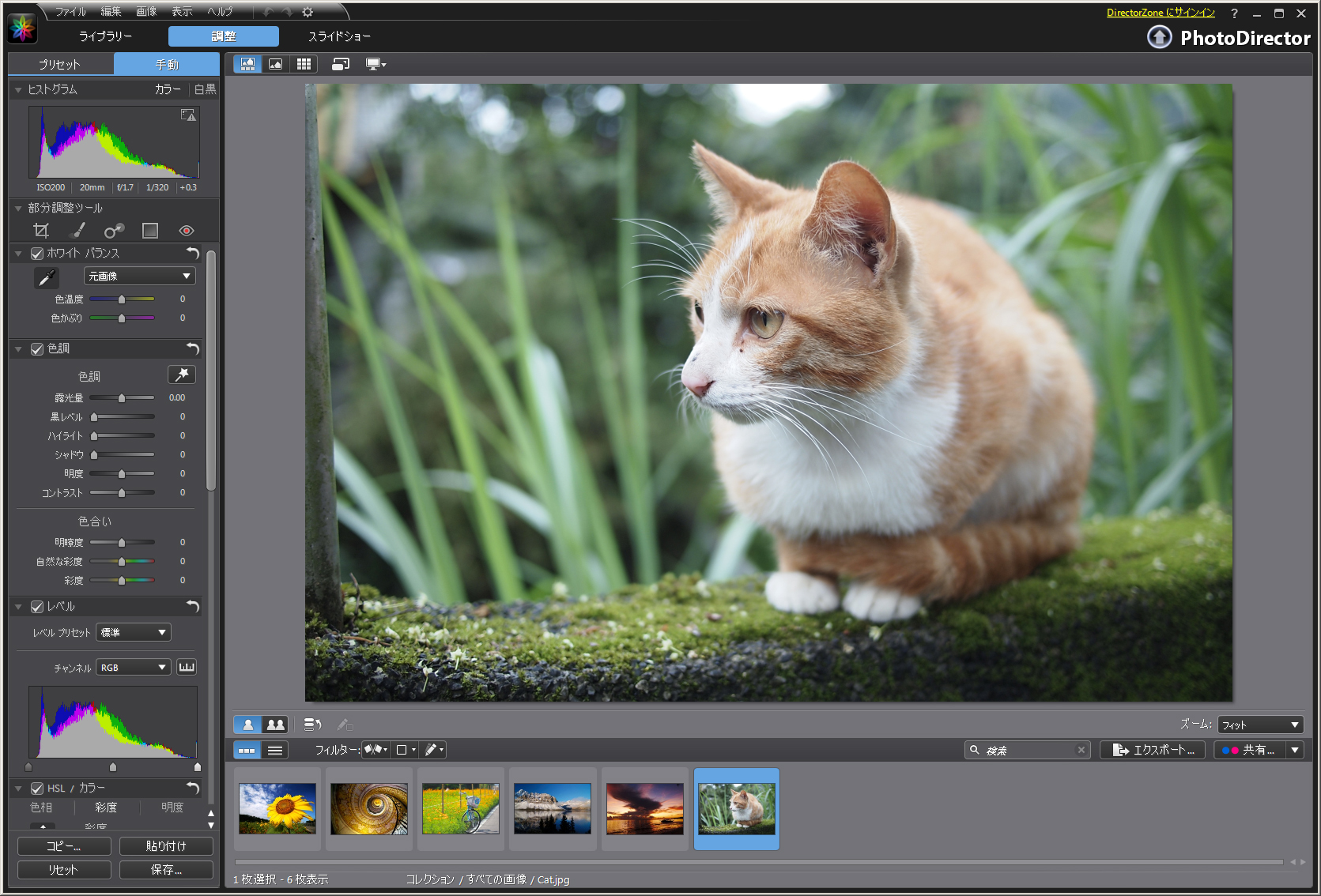 <b>PhotoDirector 2011ベータプログラム</b>