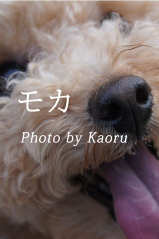 <b>写真集の作成イメージ</b>
