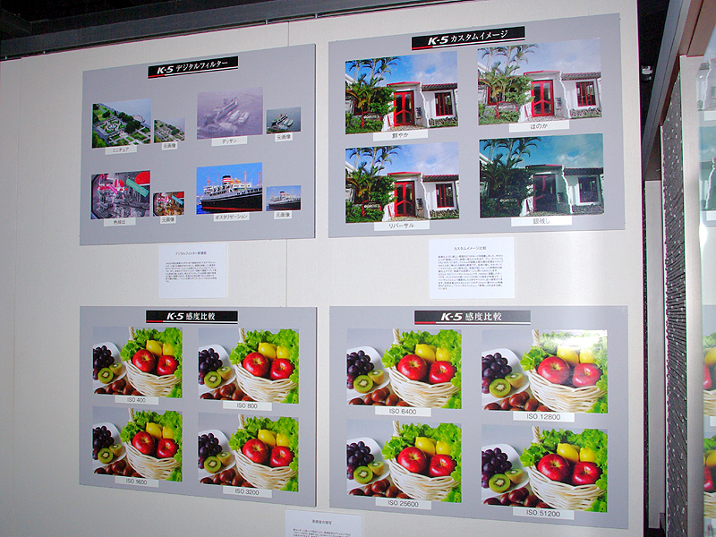 <b>デジタルフィルターやカスタムイメージの作例も</b>