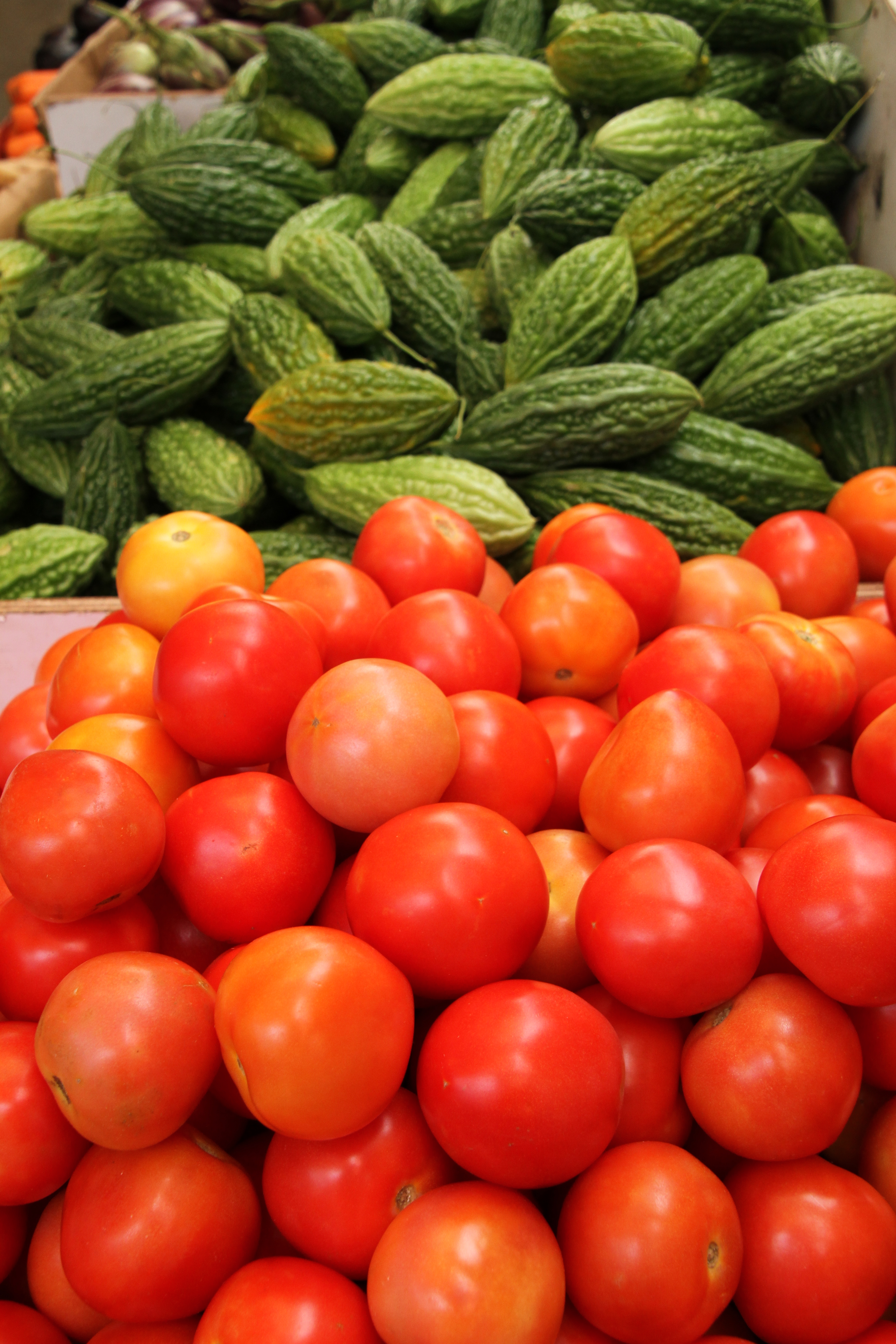 <b>リトルインディアにはたくさんの野菜市場があった。トマトとゴーヤのような野菜を撮影した。赤と緑のコントラストが美しい。18-270mm F3.5-6.3 Di II VC PZD / EOS 7D / 3,456×5,184 / 1/125秒 / F6.3 / -0.3EV / ISO400 / 絞り優先AE / WB:太陽光 / 27mm</b>