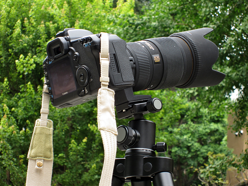 <b>EOS 5D Mark IIと70-200mm F2.8クラスのレンズでも問題なく使用できた</b>