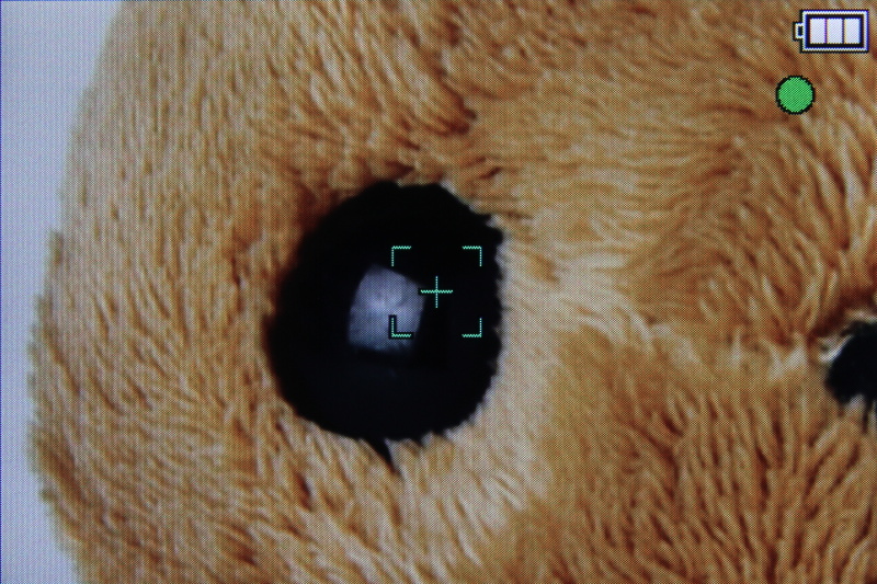 <b>合焦時に周囲を拡大表示する。その後、位置調整が可能</b>