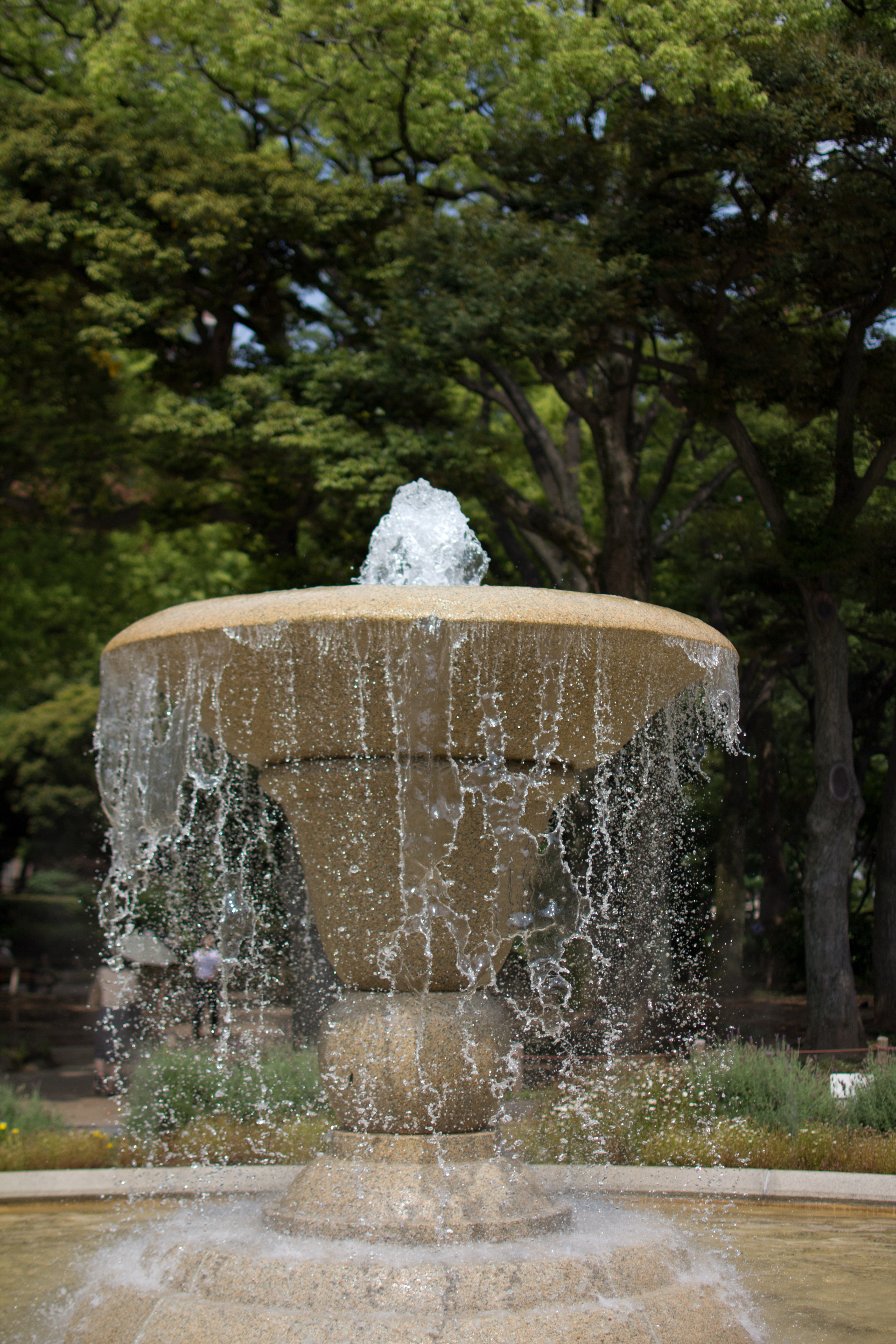 <b>EOS 60D / AF-S DX NIKKOR 35mm F1.8 G / 5,184×3,456 / 1/5,000秒 / 開放絞り / 0EV / ISO100 / WB:オート / 35mm</b>