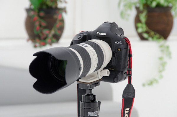 <b>主役はEOS-1Ds Mark IIIとEF 70-200mm F2.8 L IS II USM。土屋作品のほとんどの撮影カットがこの組み合わせらしい</b>