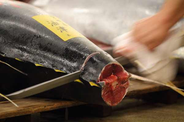 <b>築地 2010 Katsuyoshi Tsuchiya(c)</b>