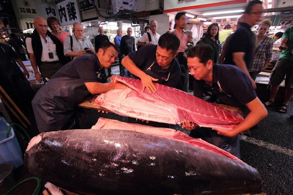 <b>築地 2010 Katsuyoshi Tsuchiya(c)</b>