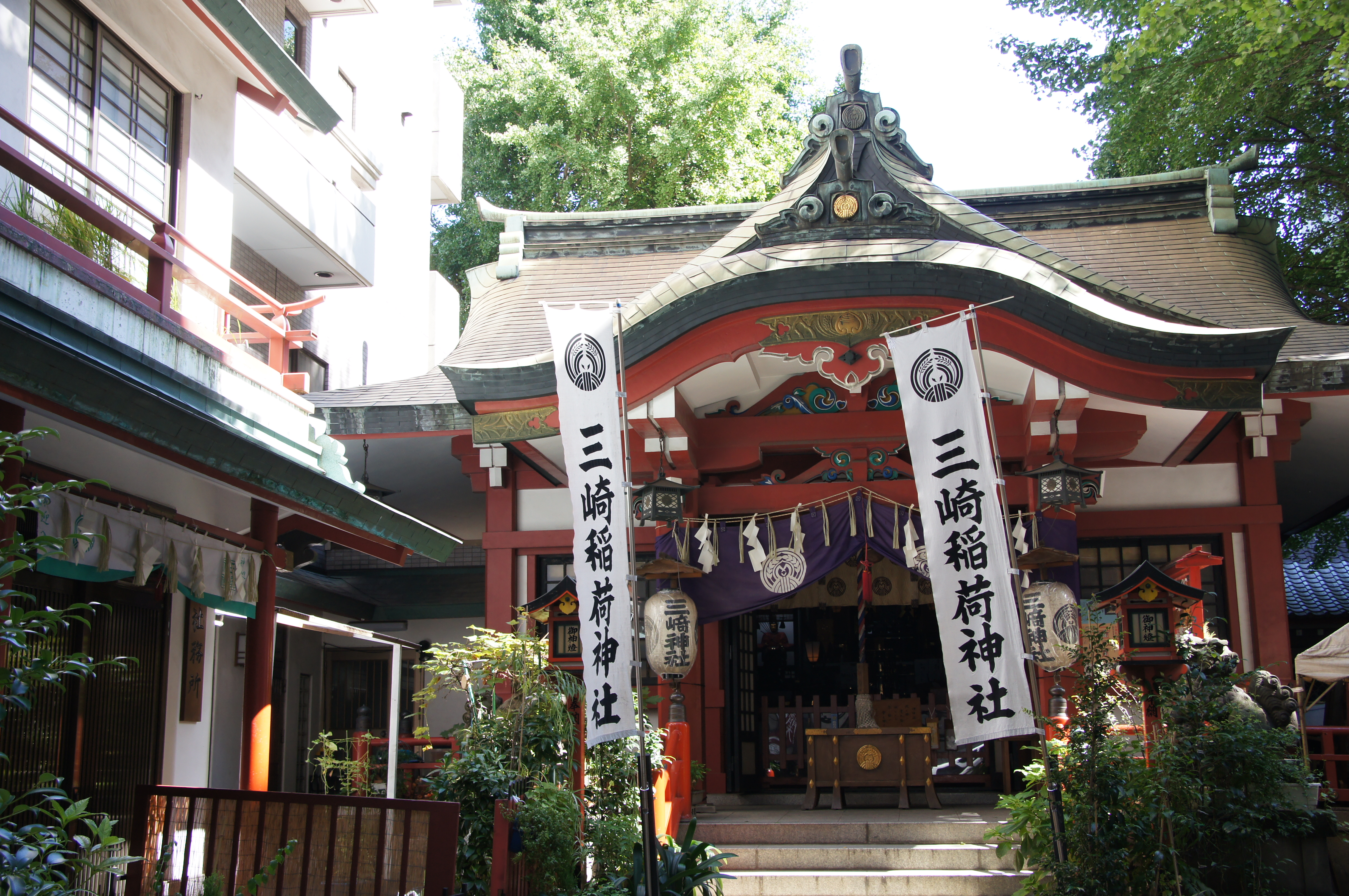 <b>α55 / AF 18-250mm F3.5-6.3 Di II LD Aspherical [IF] Macro / 4,912×3,264 / 1/50秒 / F8 / 0EV / ISO200 / 絞り優先AE / WB:オート / 28mm</b>