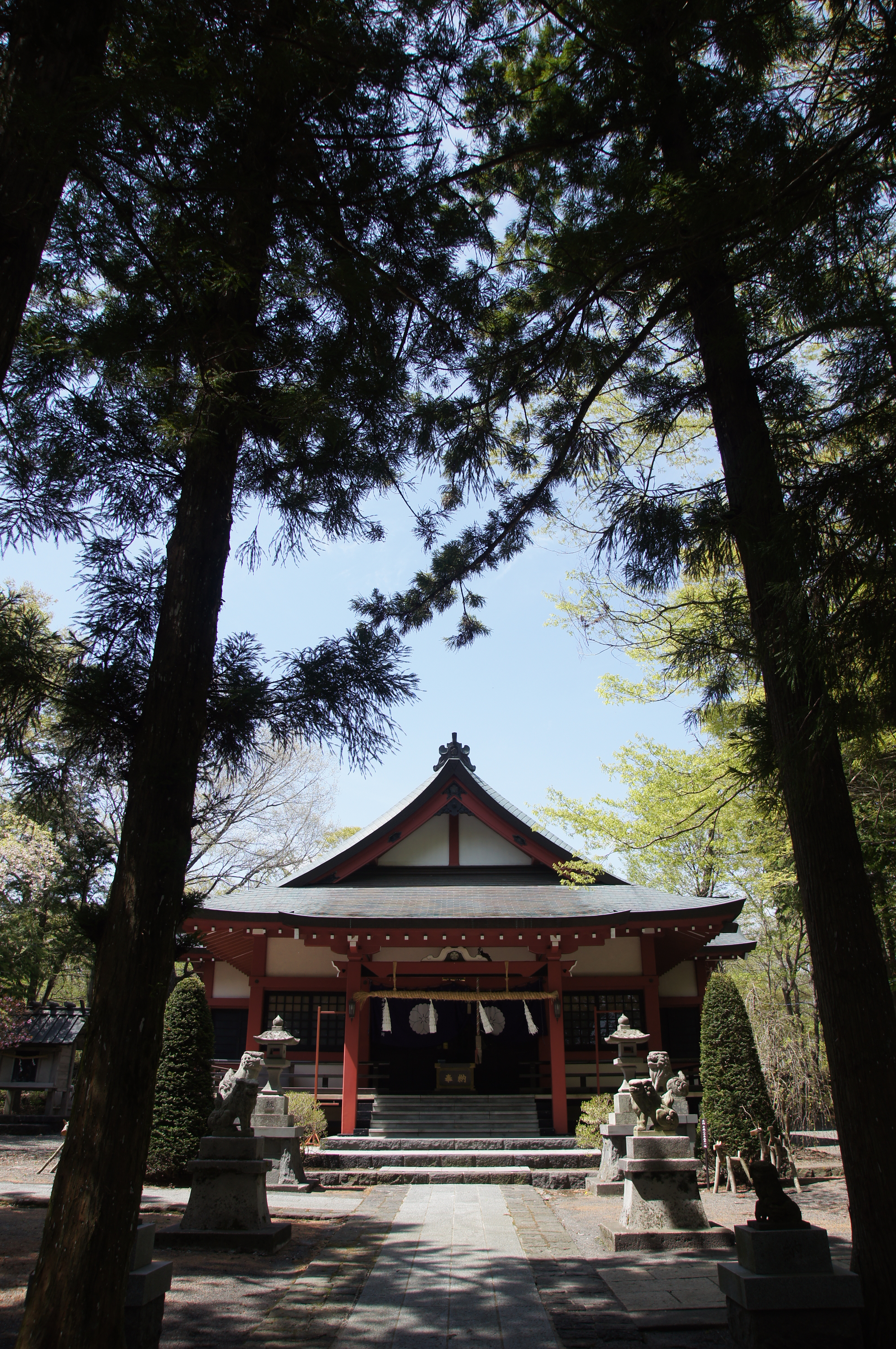 <b>α55 / DT 16-80mm F3.5-4.5 ZA / 3,264×4,912 / 1/250秒 / F5.6 / +0.7EV / ISO100 / 絞り優先AE / WB:5,200K / 16mm</b>