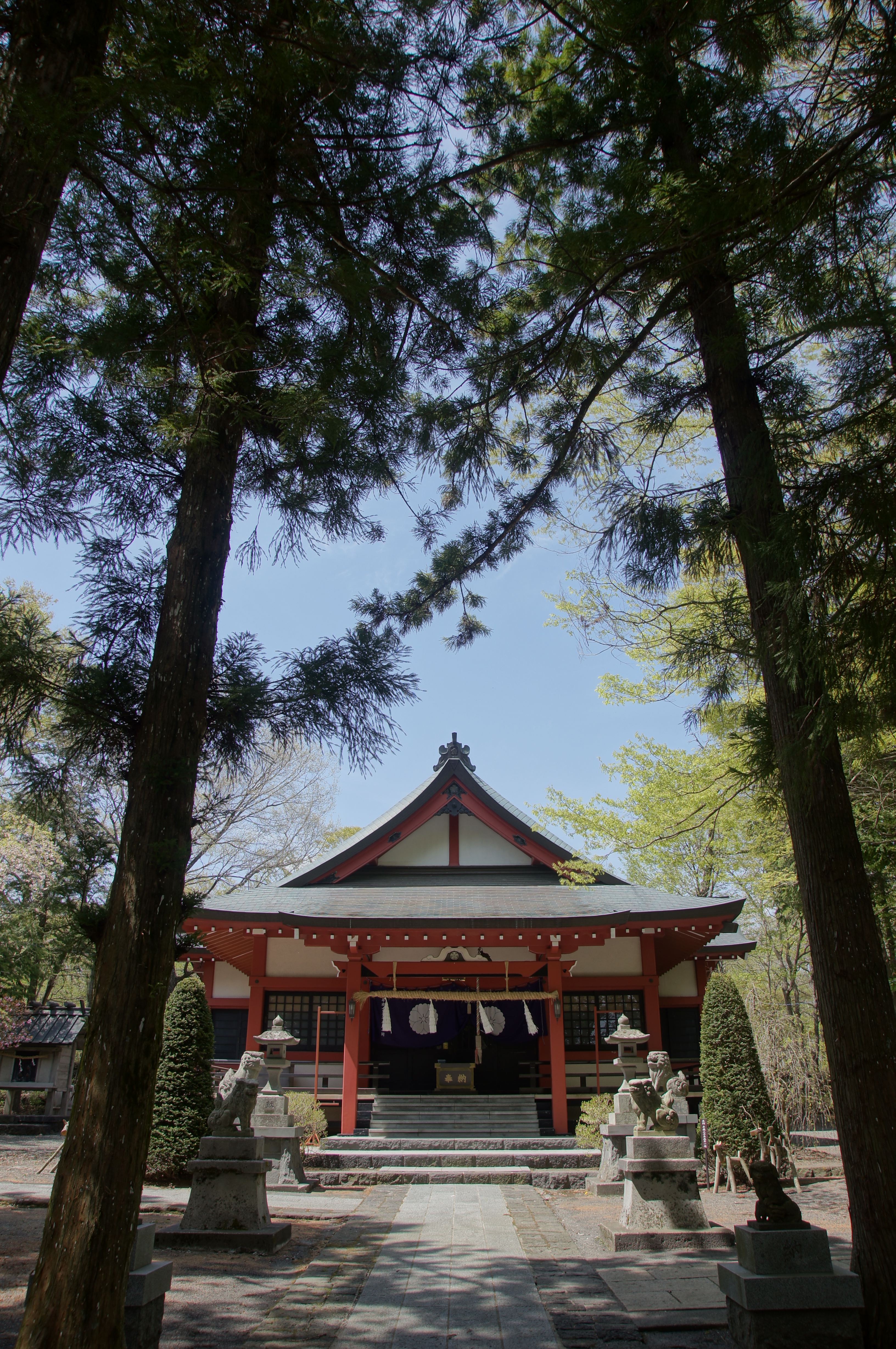 <b>α55 / DT 16-80mm F3.5-4.5 ZA / 3,264×4,912 / 1/250秒 / F5.6 / +0.7EV / ISO100 / 絞り優先AE / WB:5,200K / 16mm</b>