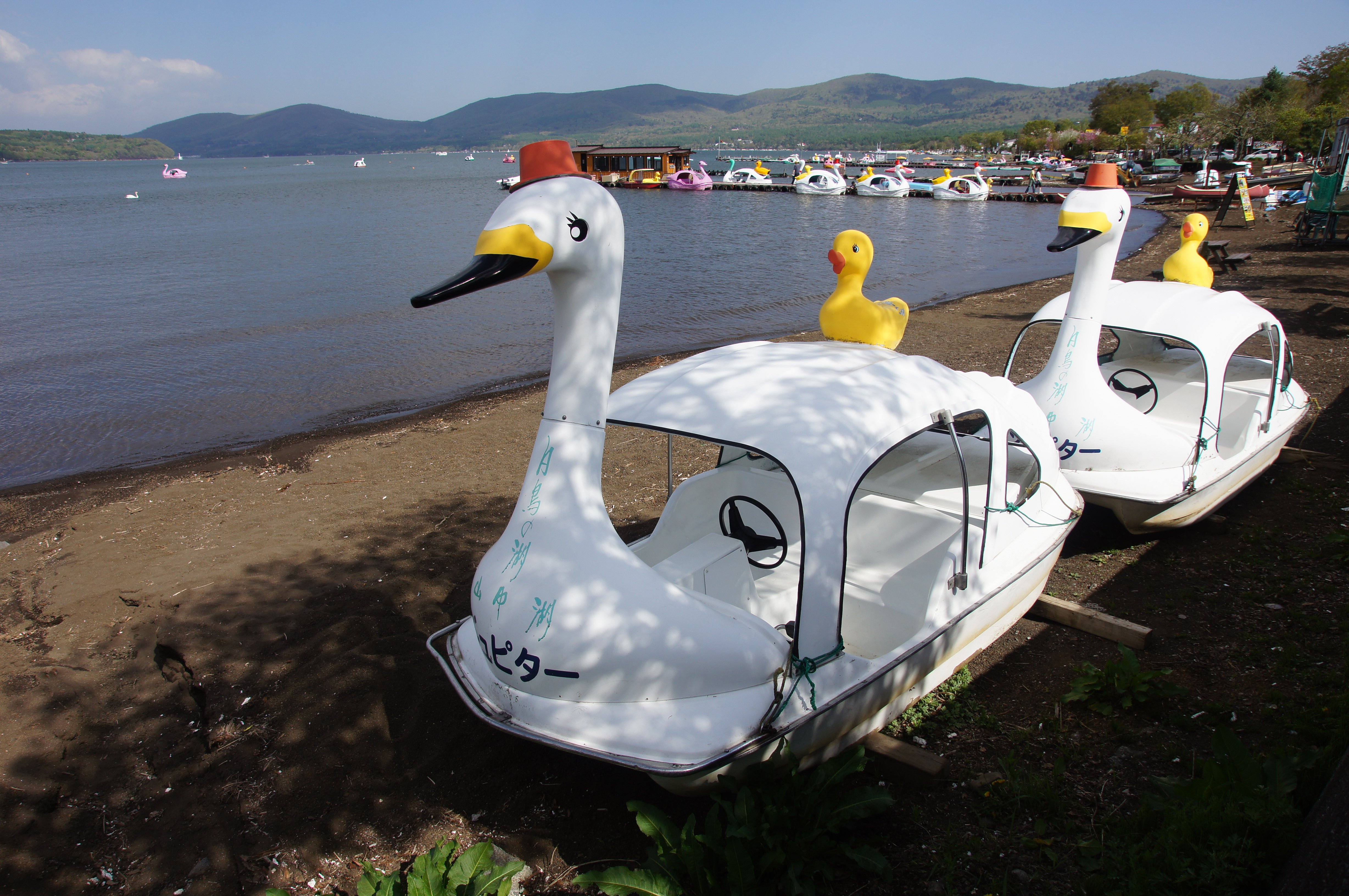 <b>α55 / DT 16-80mm F3.5-4.5 ZA / 4,912×3,264 / 1/400秒 / F8 / 0EV / ISO100 / 絞り優先AE / WB:オート / 16mm</b>