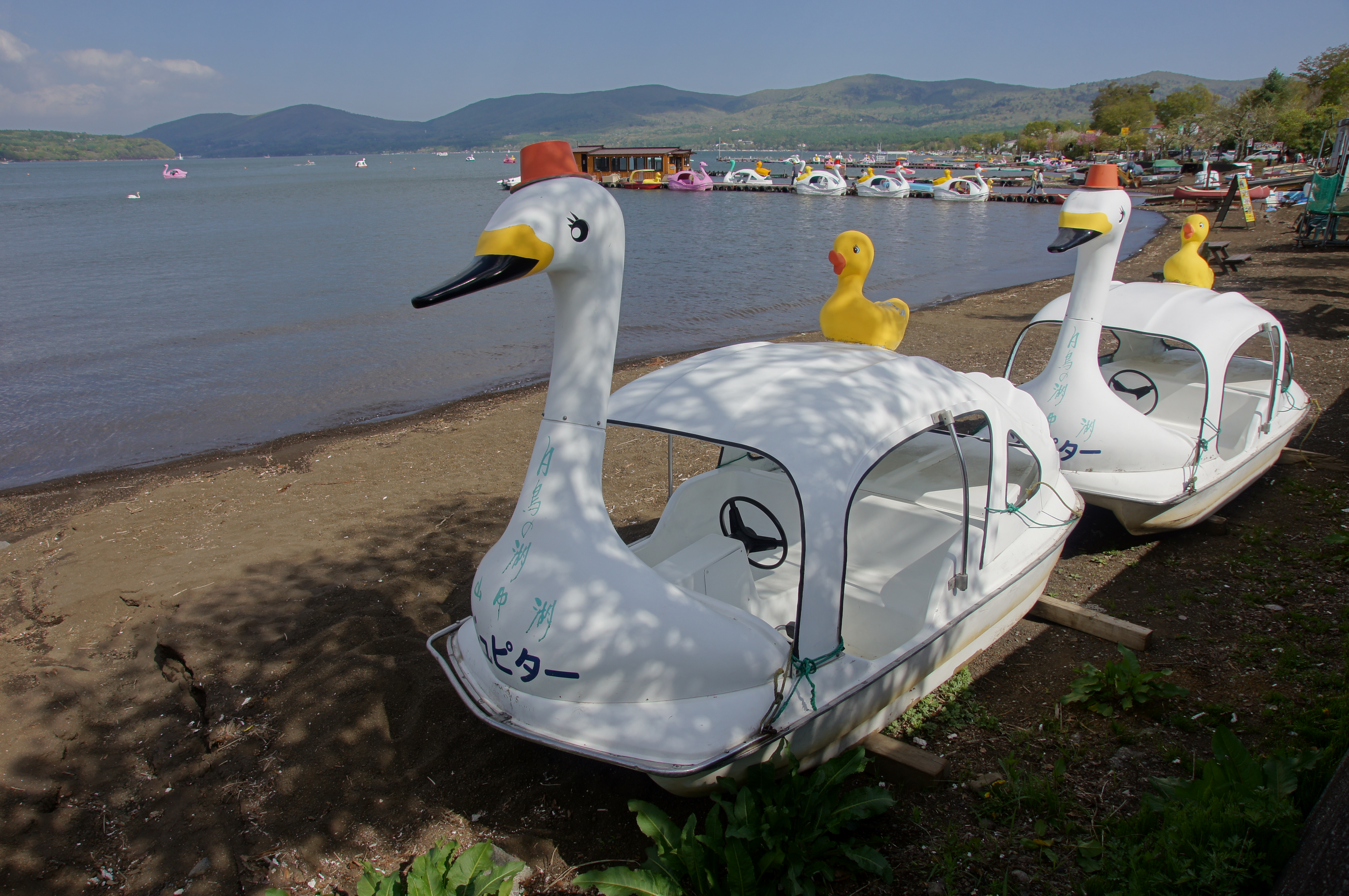 <b>α55 / DT 16-80mm F3.5-4.5 ZA / 4,912×3,264 / 1/400秒 / F8 / 0EV / ISO100 / 絞り優先AE / WB:オート / 16mm</b>