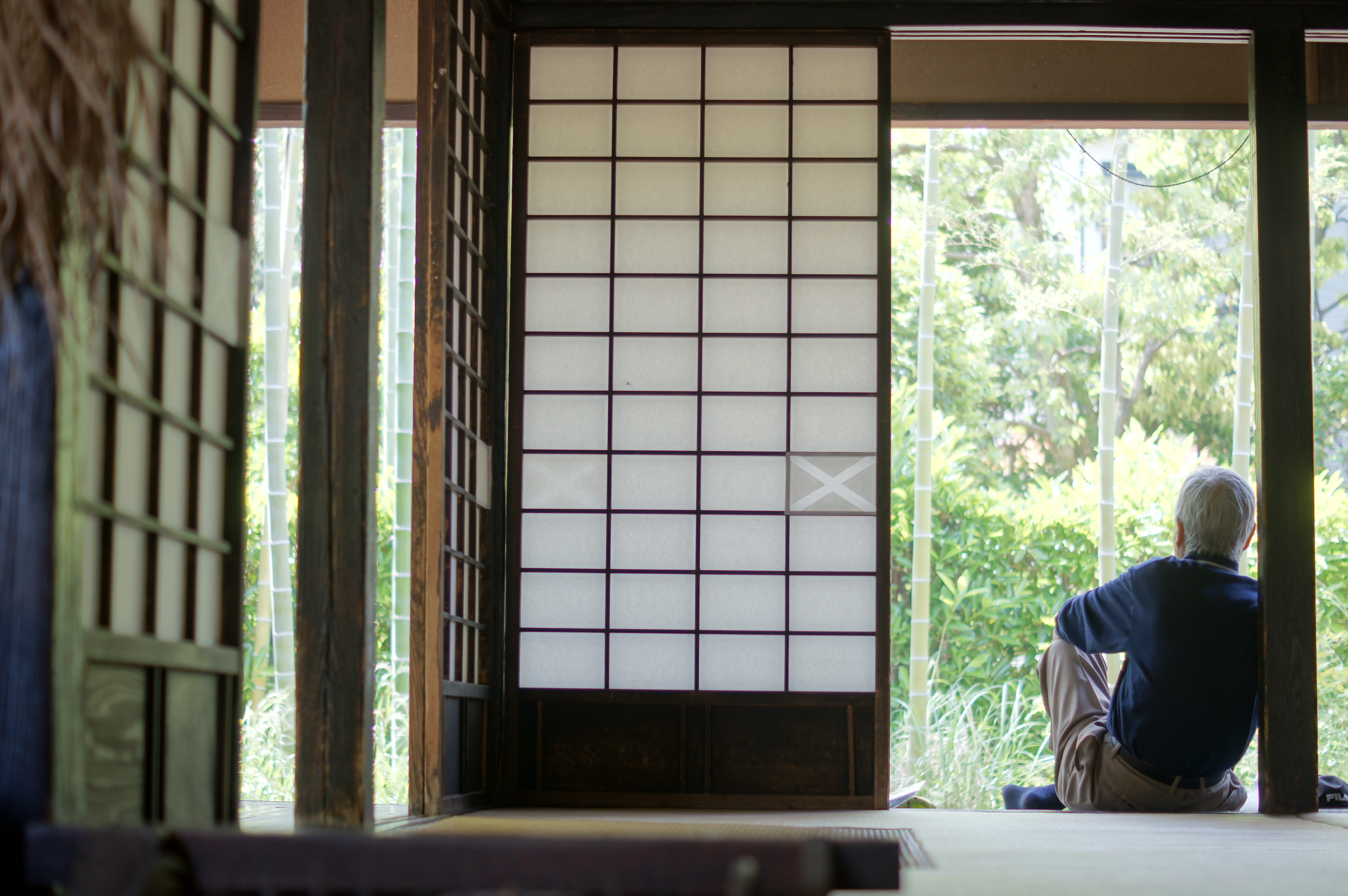 <b>α55 / DT 50mm F1.8 SAM / 4,912×3,264 / 1/160秒 / F2.2 / 0EV / ISO400 / マニュアル / WB:オート / 50mm</b>