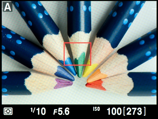 <b>【D5100】ライブビュー画面。この状態で動画撮影ボタンを押すと動画撮影スタートとなる。四隅の白い線は動画の撮影範囲を示すもの</b>