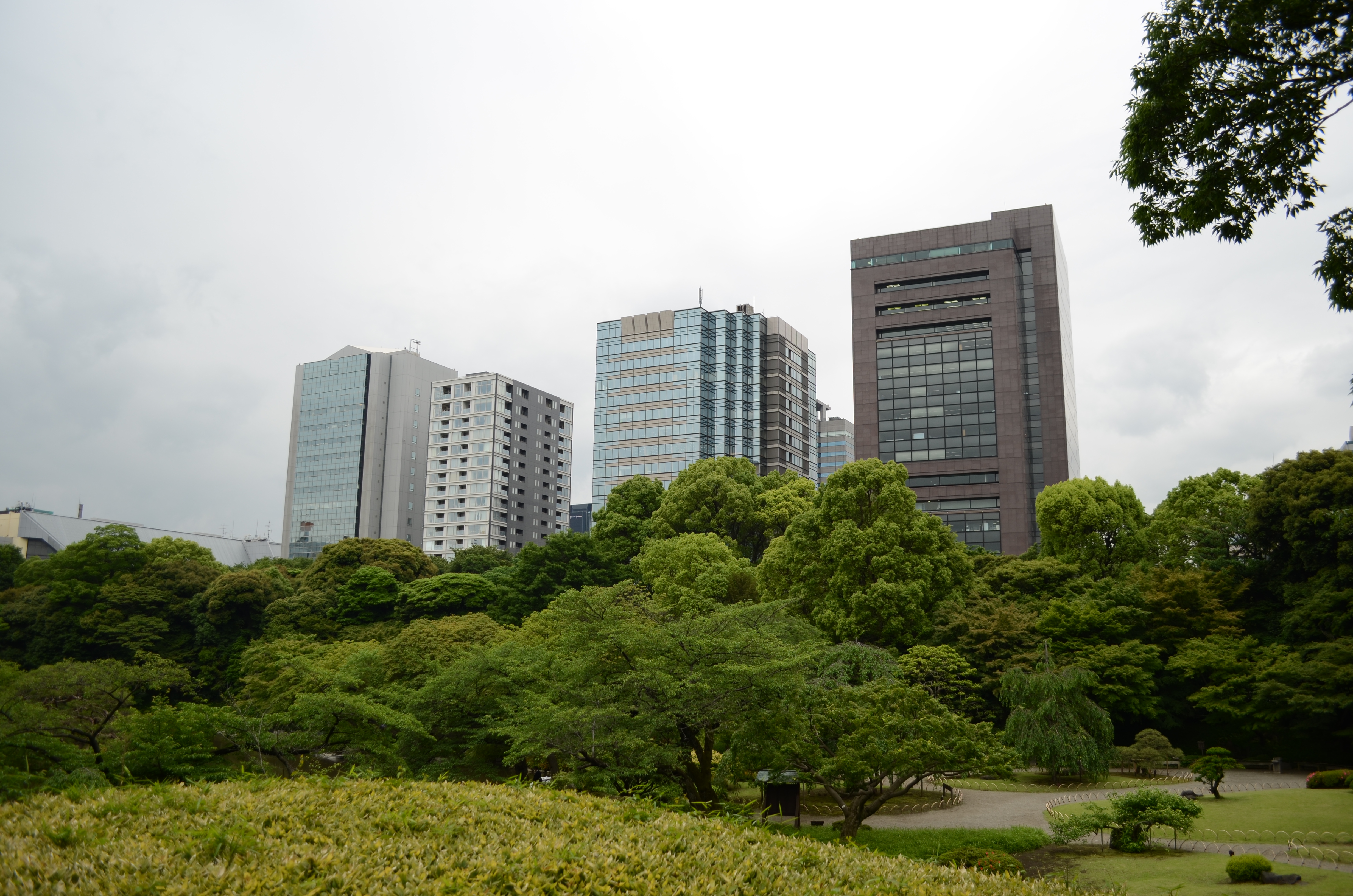 <b>【D5100】F3.5 / AF-S DX NIKKOR 18-55mm F3.5-5.6 G VR / 約5.9MB / 4,928×3,264 / 1/500秒 / 0.0EV / ISO100 / WB:オート / 18mm</b>